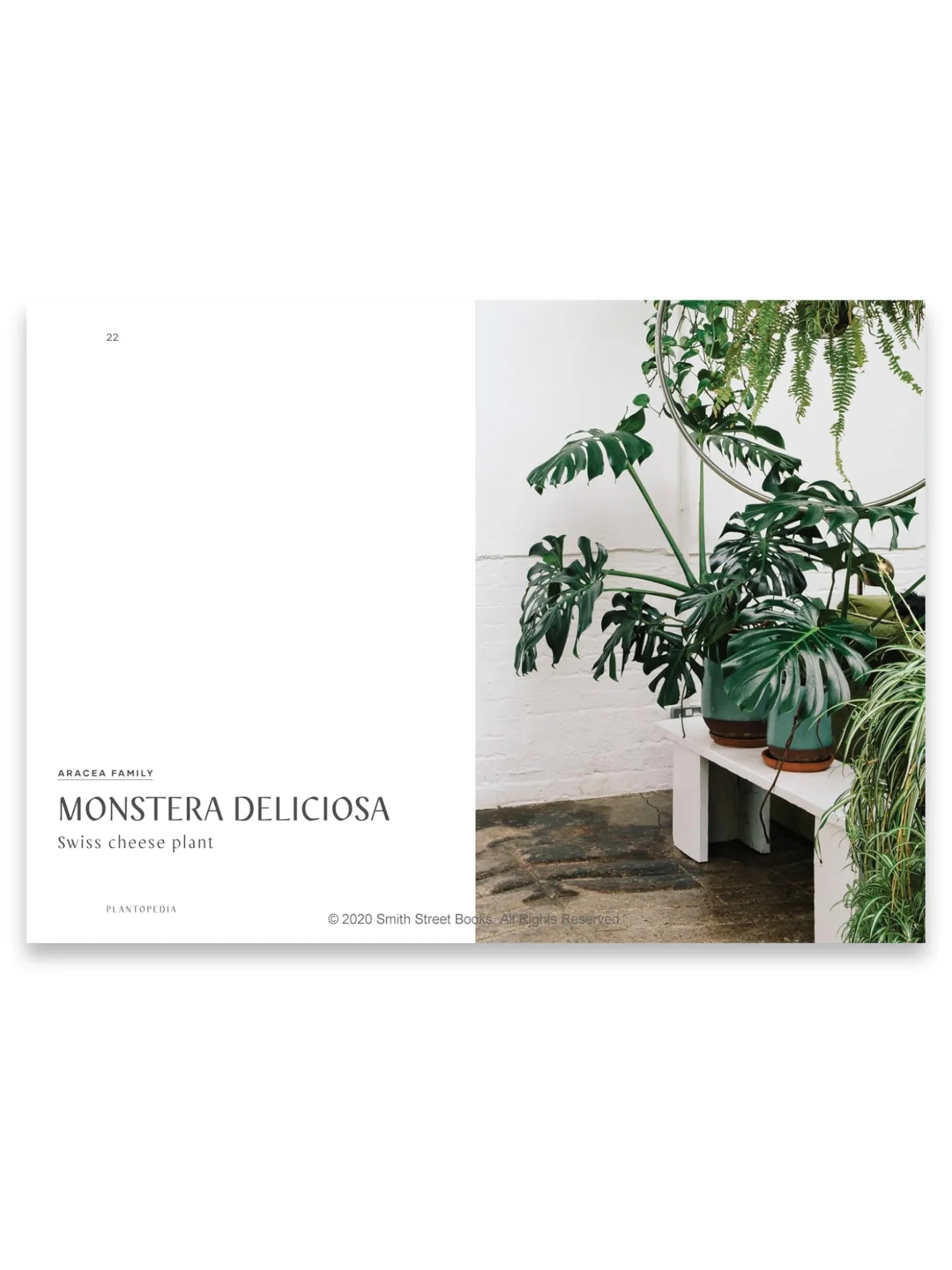 Plantopedia by Book - THAT COOL LIVING