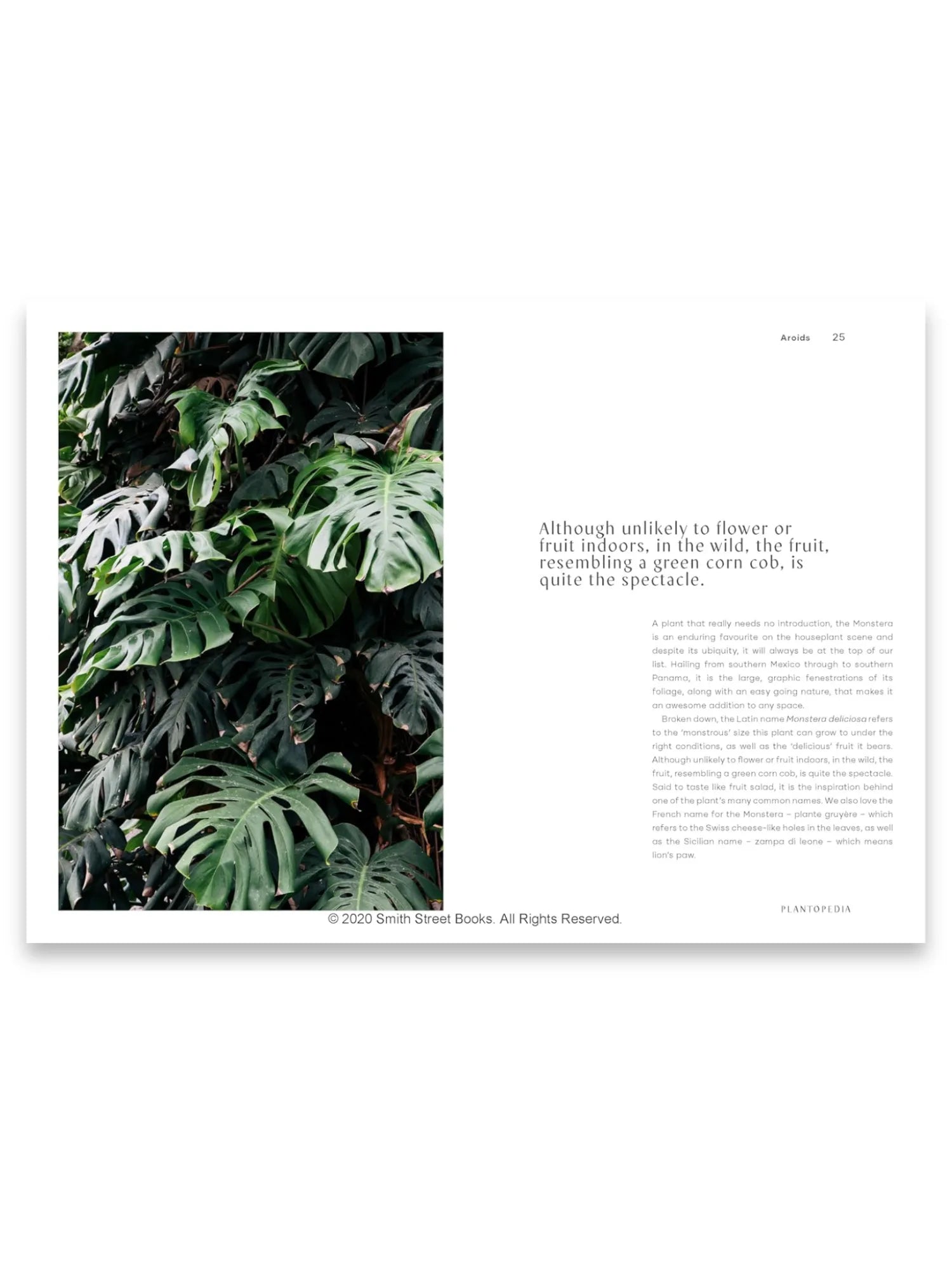 Plantopedia by Book - THAT COOL LIVING