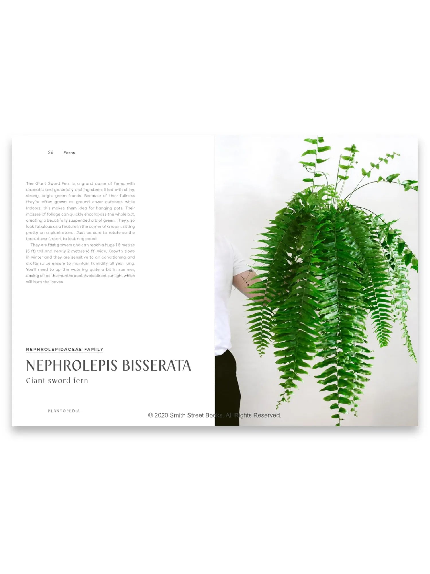 Plantopedia by Book - THAT COOL LIVING
