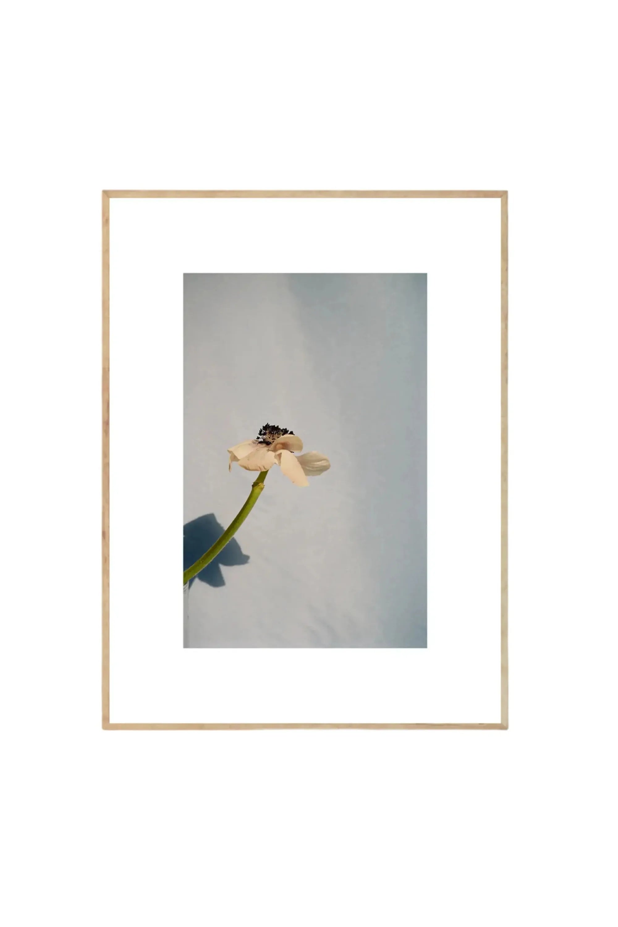 Poppy Pop - Art Print