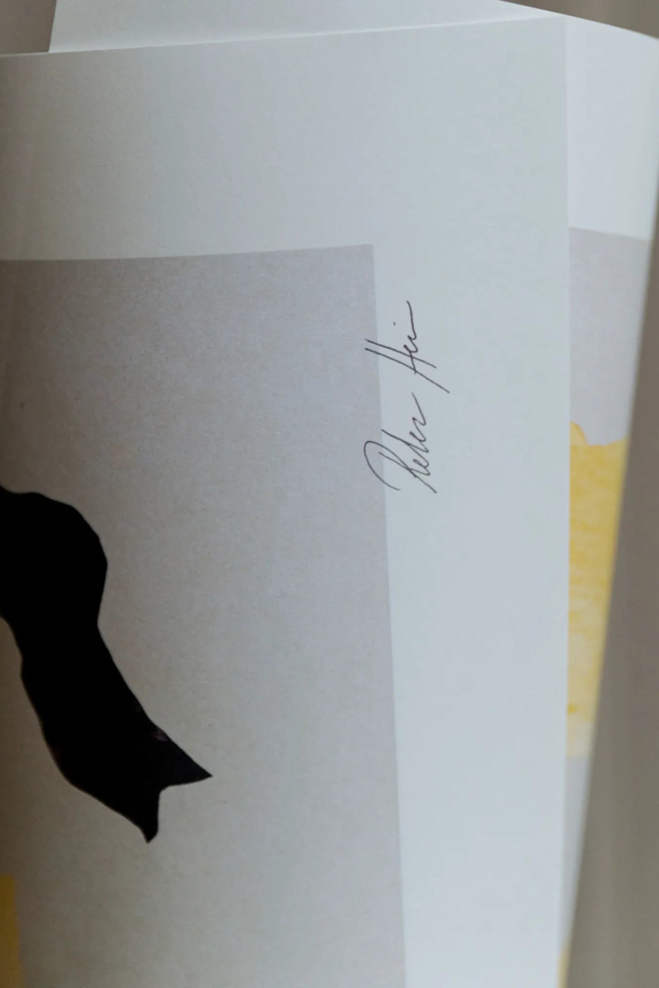 Close-up of Shadow no 15 in sleek, modern packaging