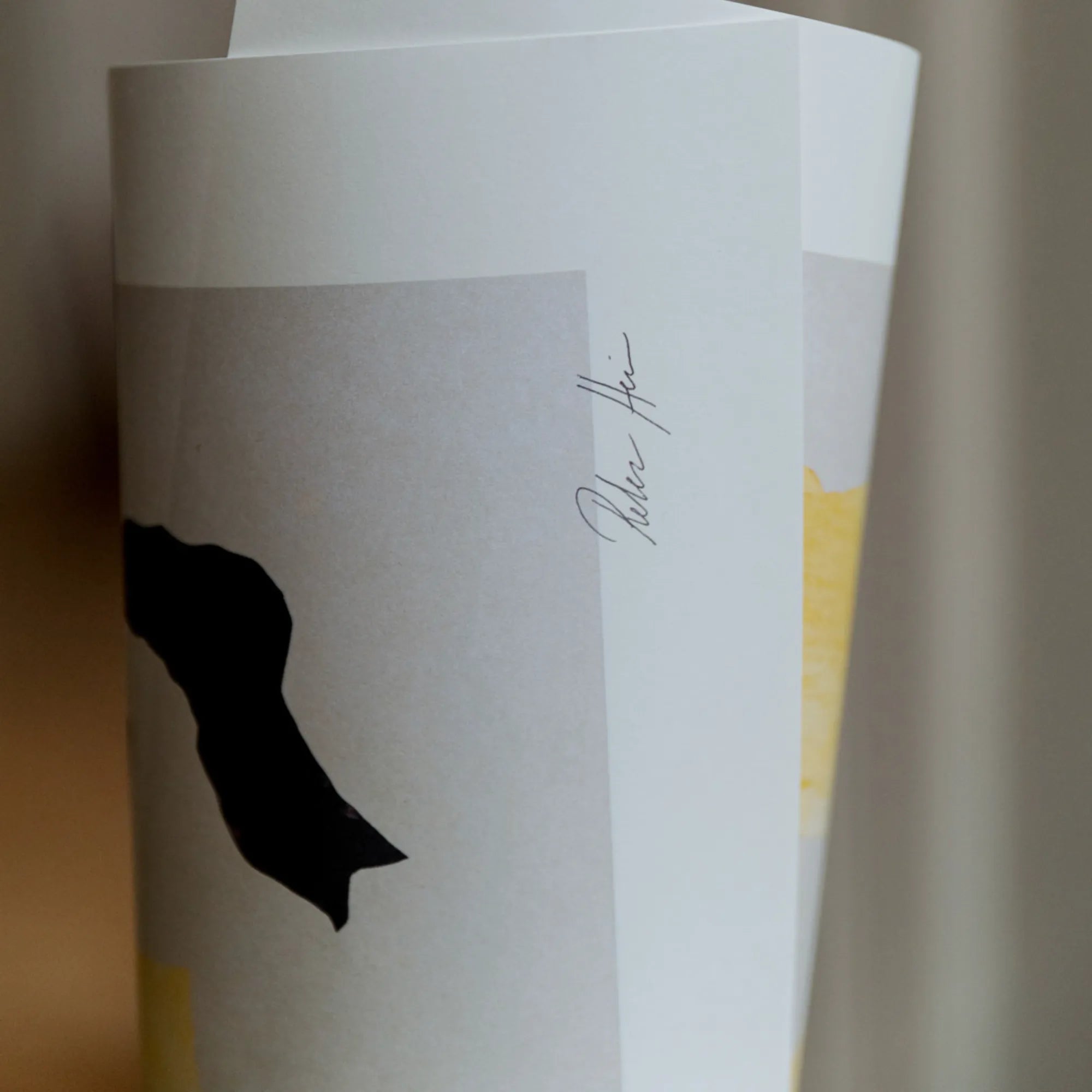 Close-up of Shadow no 15 in sleek, modern packaging