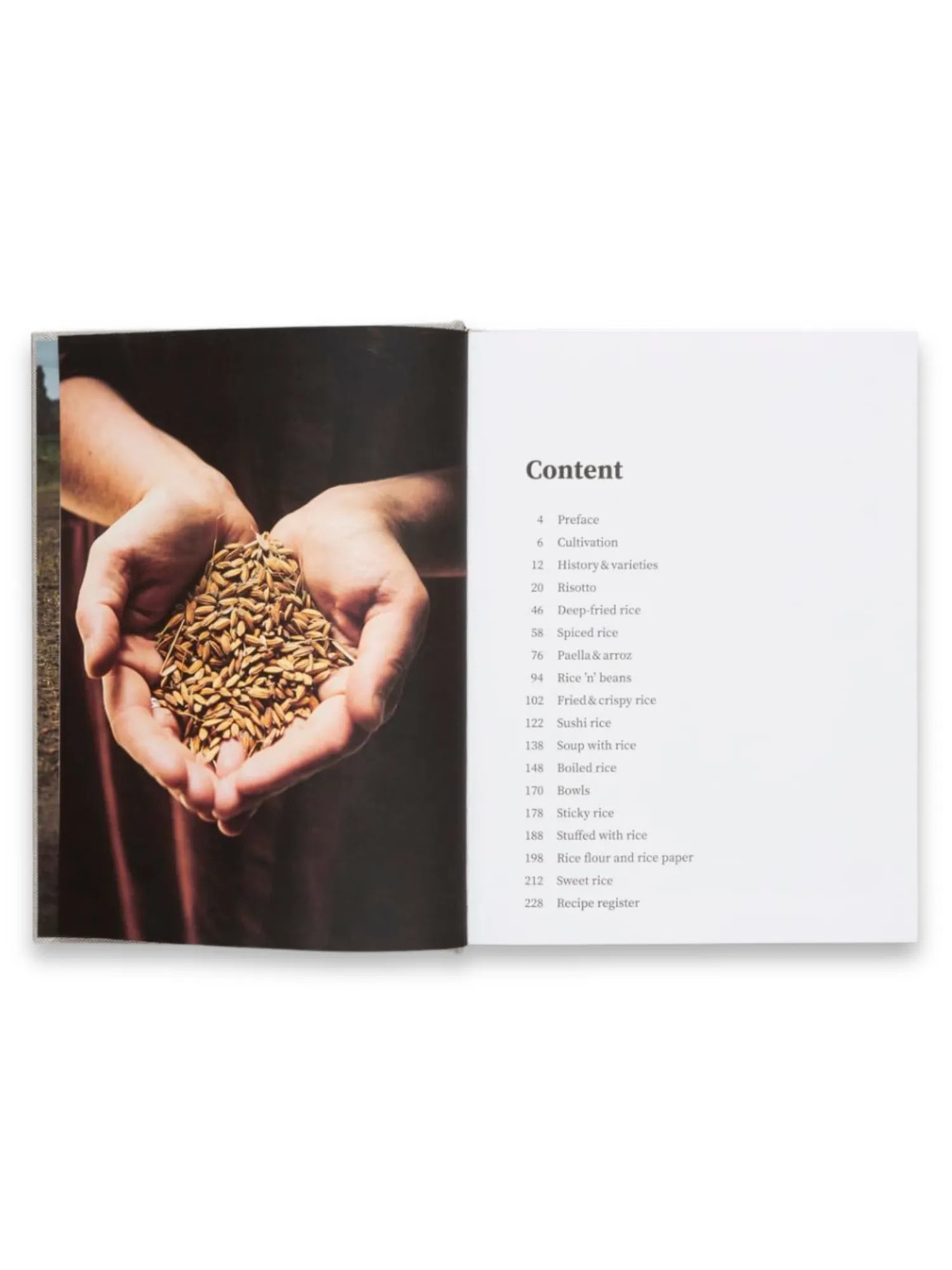 Rice and Shine by Book - THAT COOL LIVING