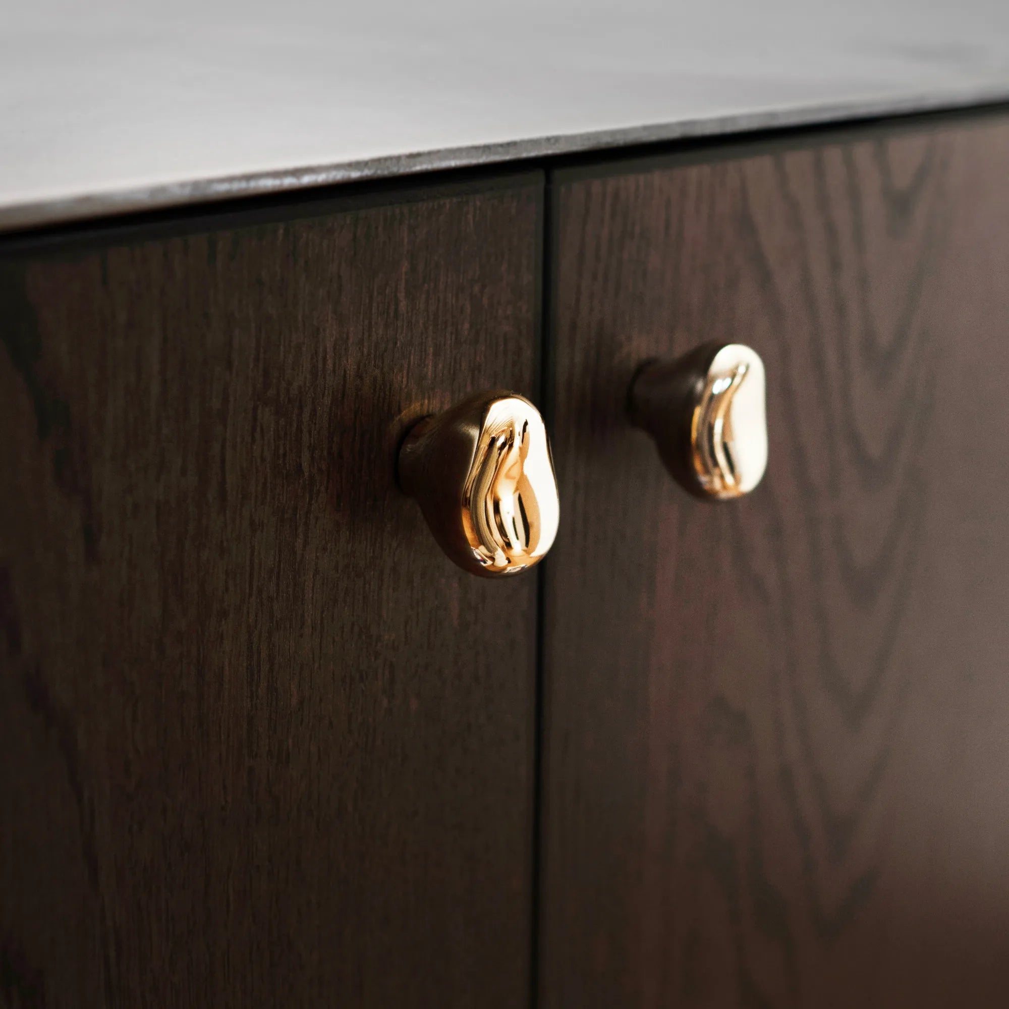 Rud Knob - Set of 2 - Brass - THAT COOL LIVING