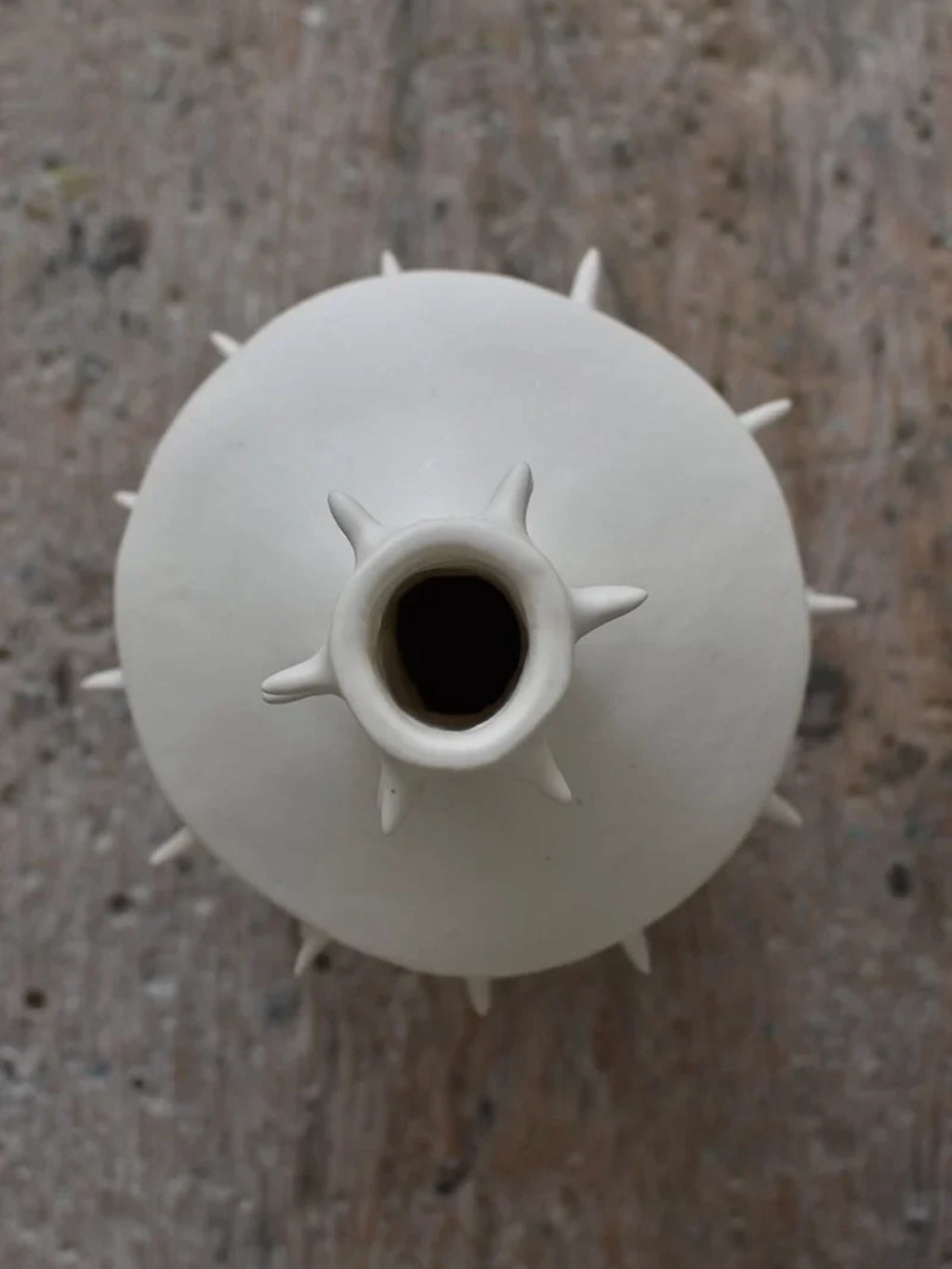 OWO Ceramics x That Cool Living Spikes Vase III, a premium, elegantly crafted matte white ceramic vase with a unique spherical body and spiky accents. This modern, handcrafted piece is perfect for displaying dried flowers or as a stylish standalone decorative object for discerning interiors.