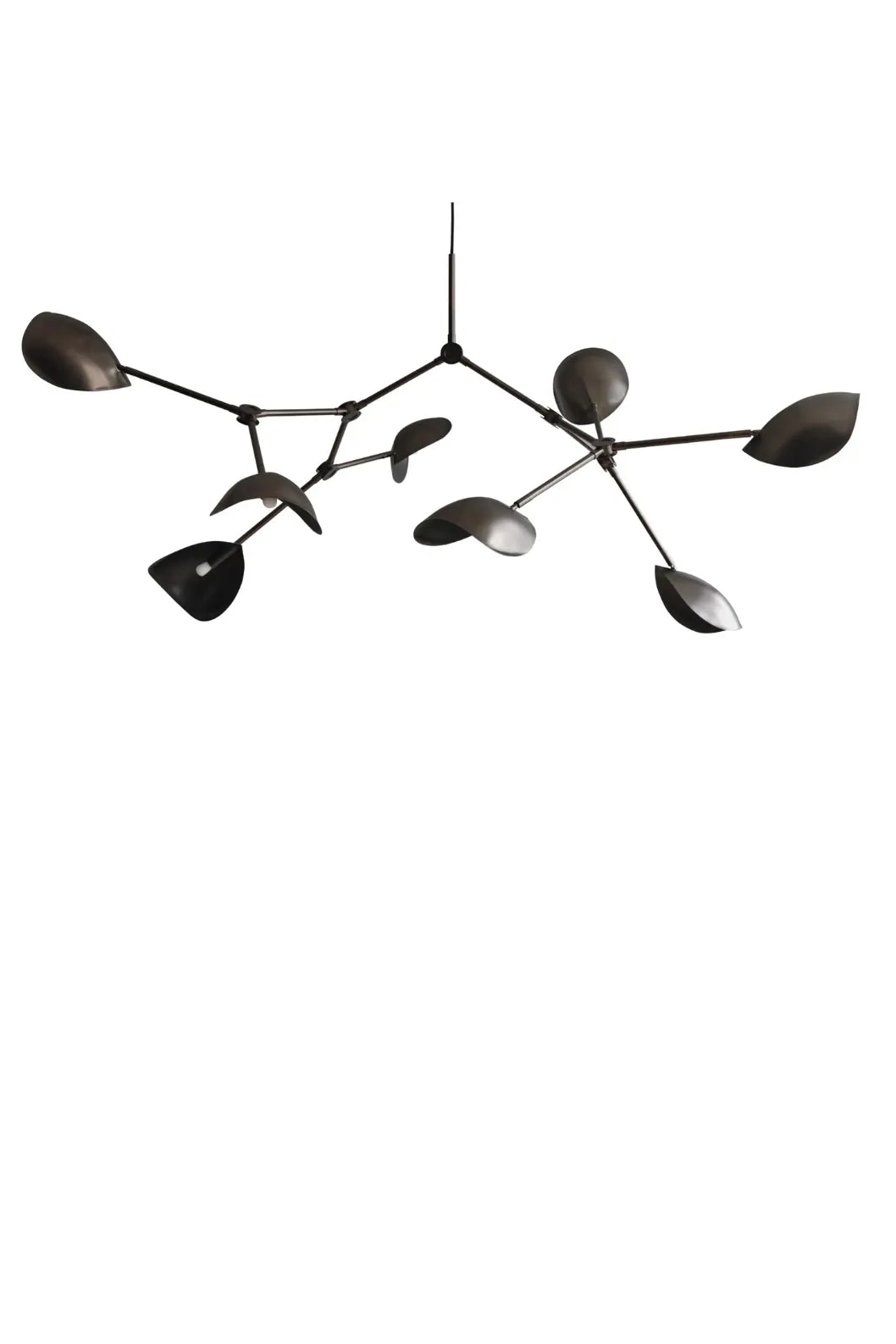 Stingray Chandelier