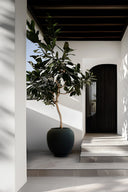 Sunao Planter - THAT COOL LIVING