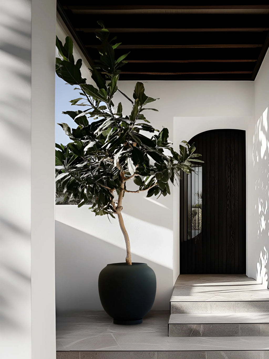 101 CPH Sunao Planter in a charcoal grey finish, a large, premium, rounded ceramic pot holding a tall green plant, perfectly styled in a minimalist entryway. Ideal for modern interior landscaping.