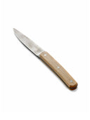 Surface Paring Knife - Set of 4