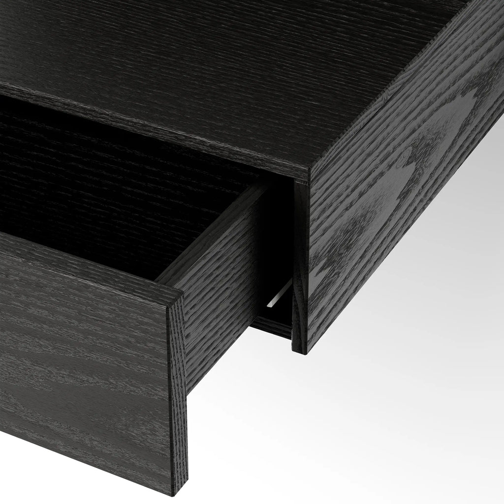 Sleek Wall Mounted Media Module with Wire Management for Clean Look