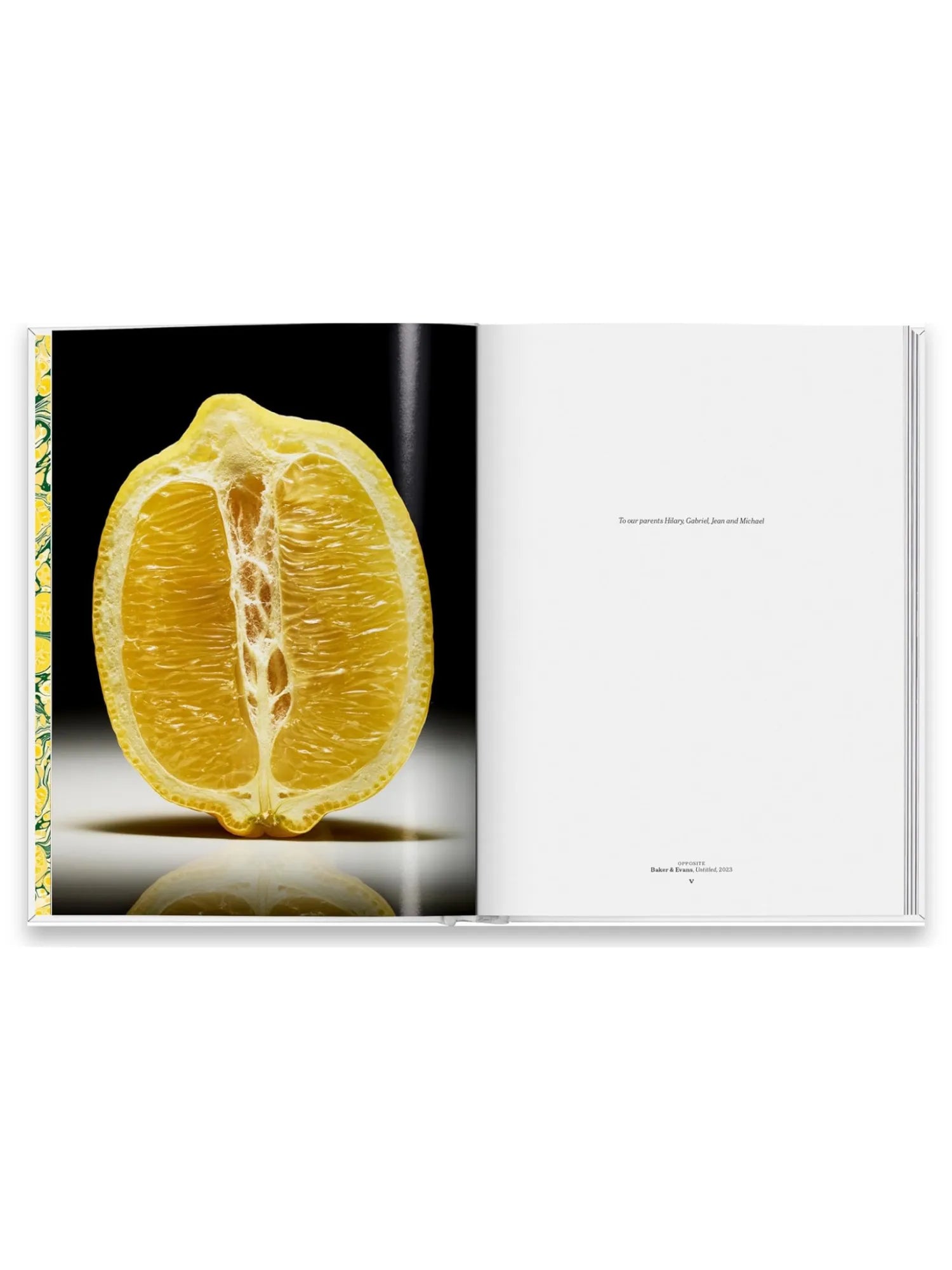 The Gourmand's Lemon. A Collection of Stories and Recipes by Book - THAT COOL LIVING