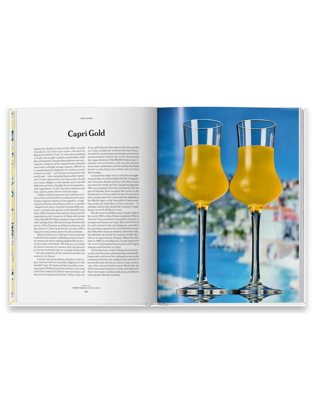 The Gourmand's Lemon. A Collection of Stories and Recipes