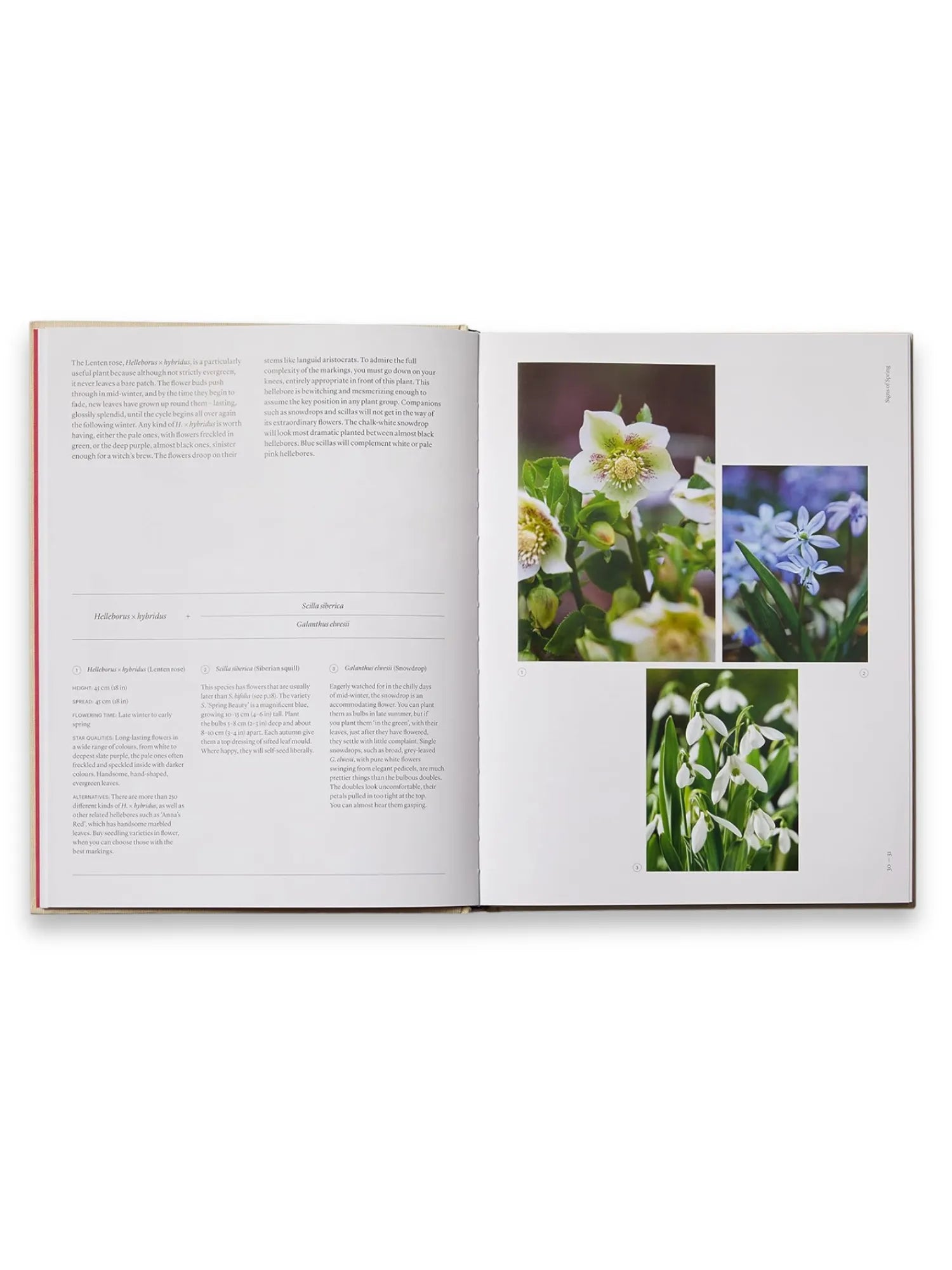 The Seasonal Gardener: Creative Planting Combinations by Book - THAT COOL LIVING