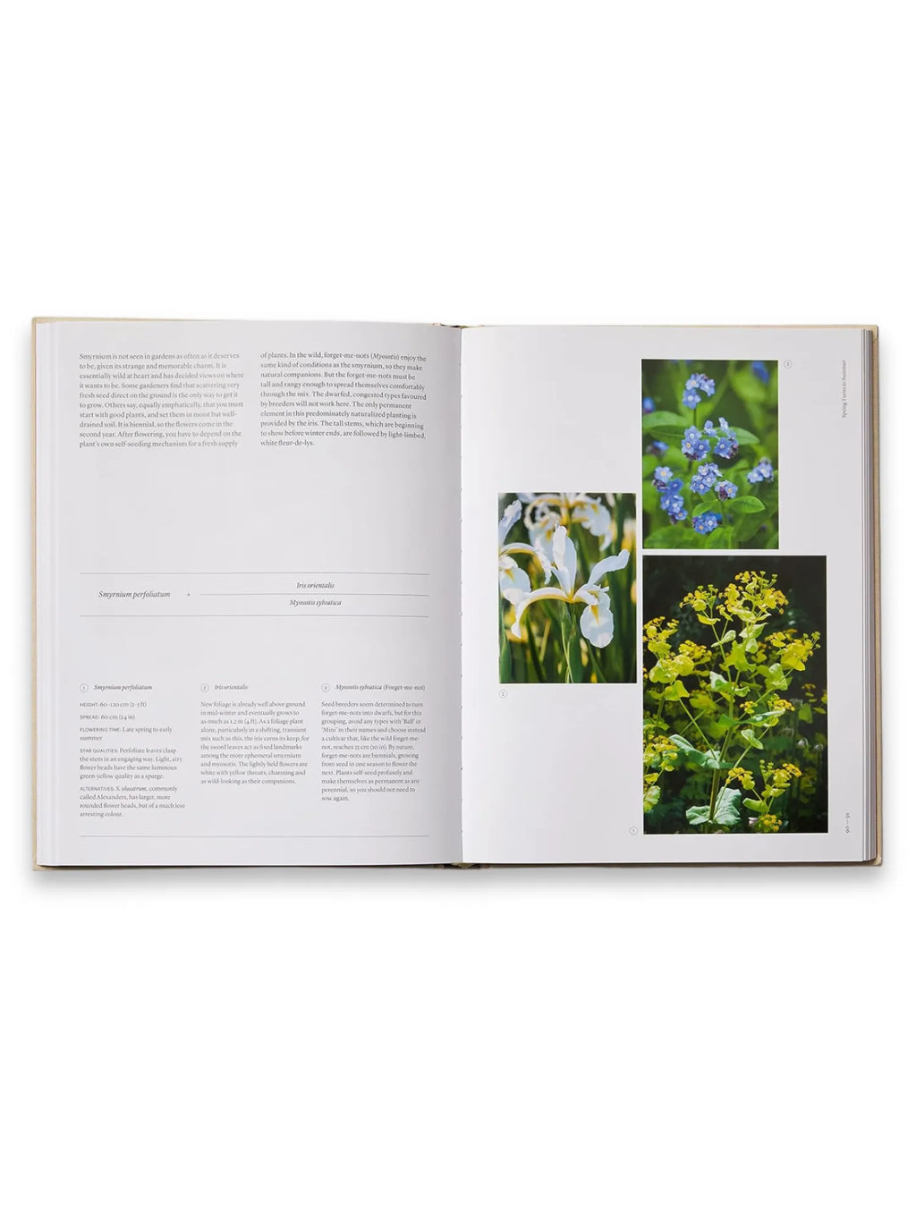 The Seasonal Gardener: Creative Planting Combinations