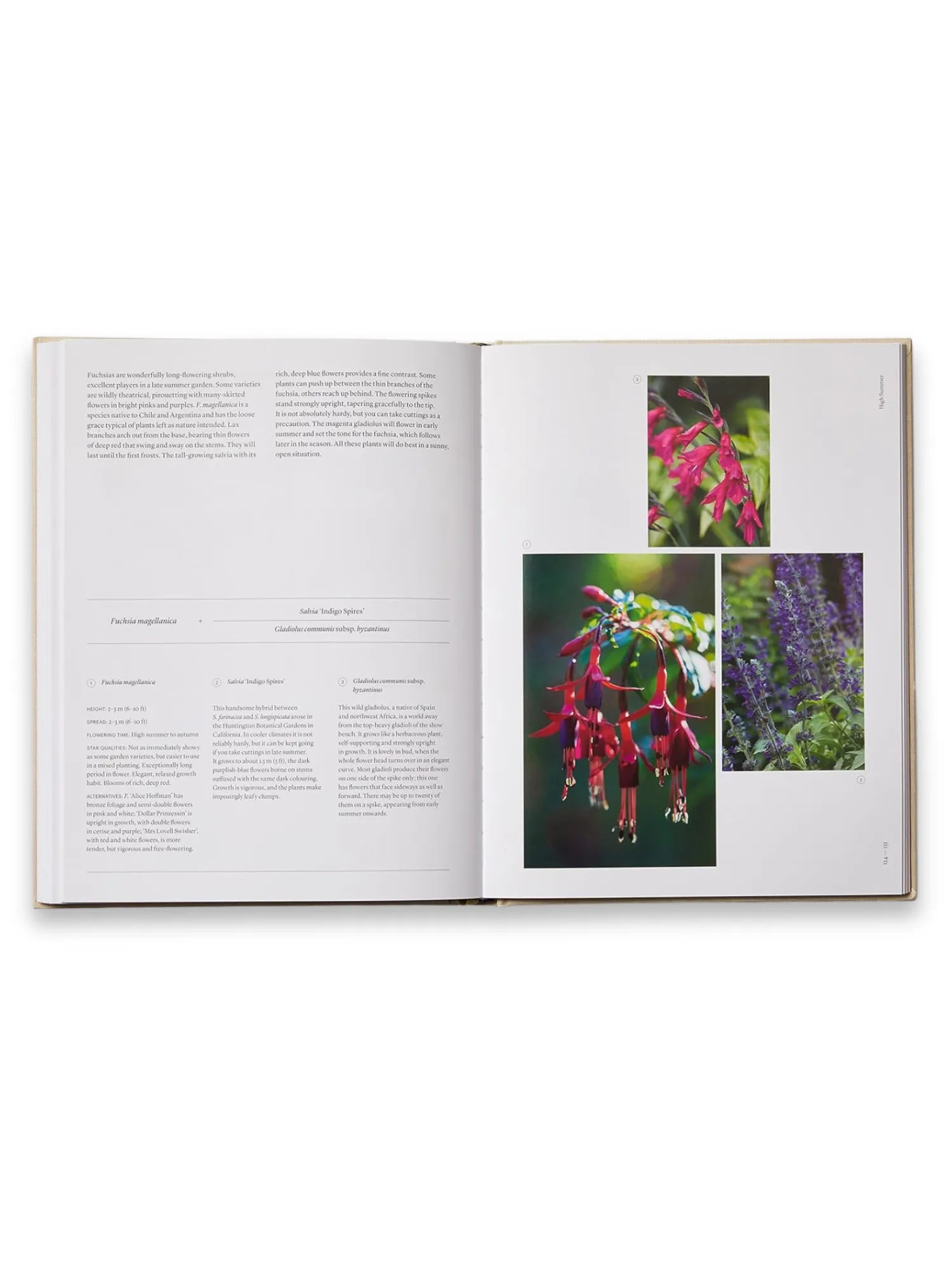 The Seasonal Gardener: Creative Planting Combinations by Book - THAT COOL LIVING