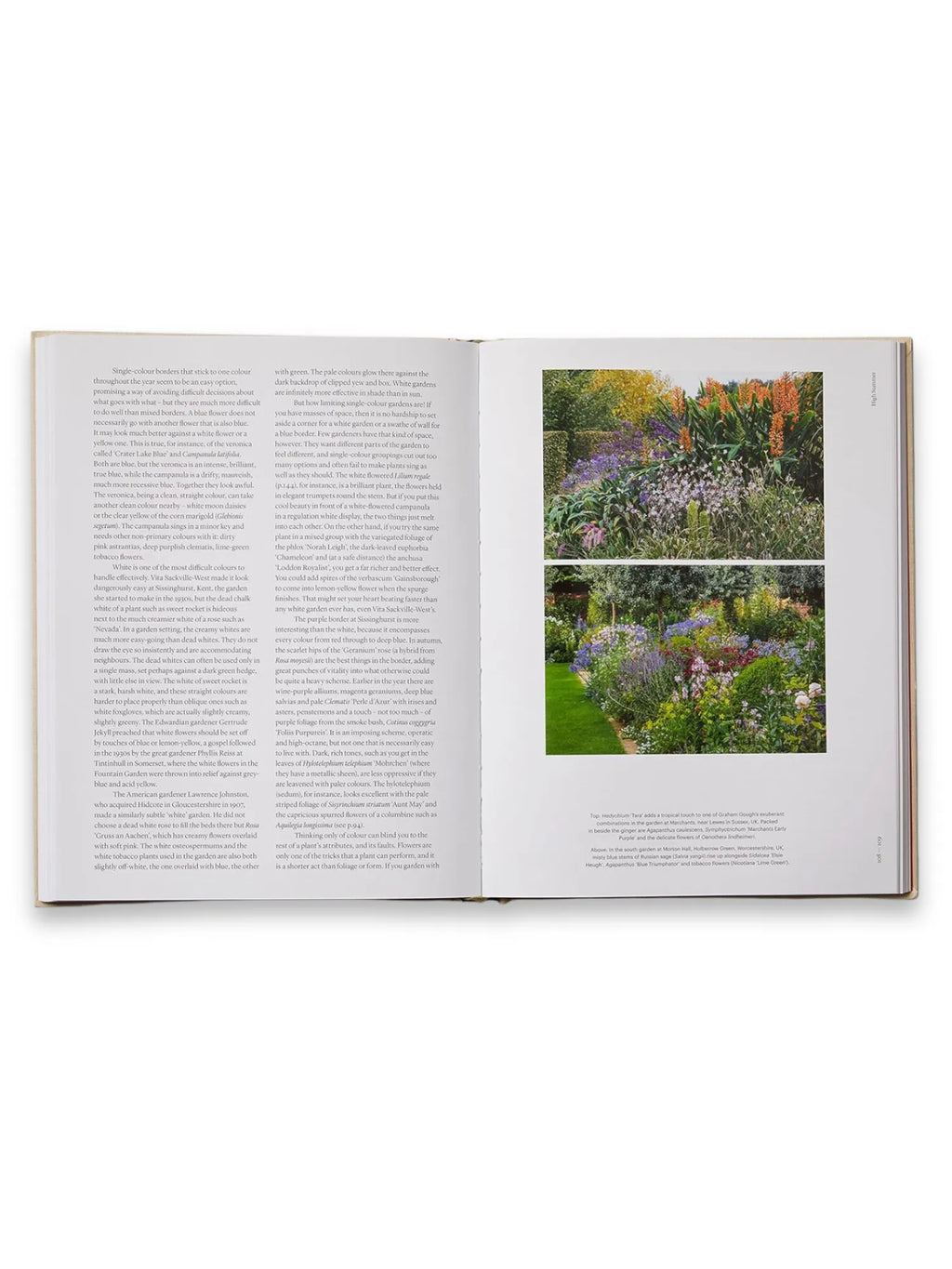 The Seasonal Gardener: Creative Planting Combinations