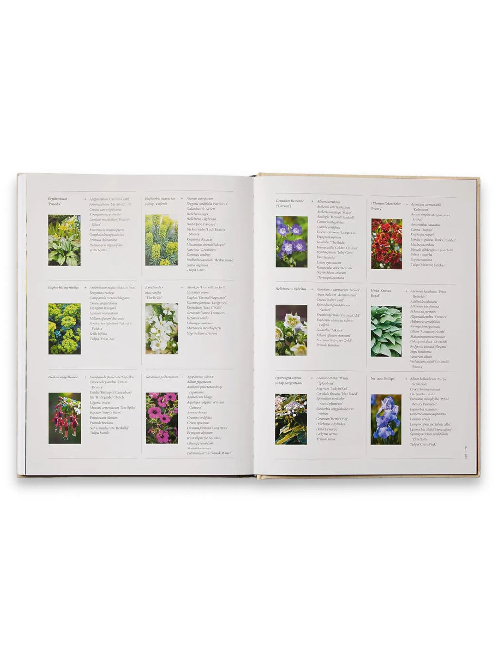 The Seasonal Gardener: Creative Planting Combinations