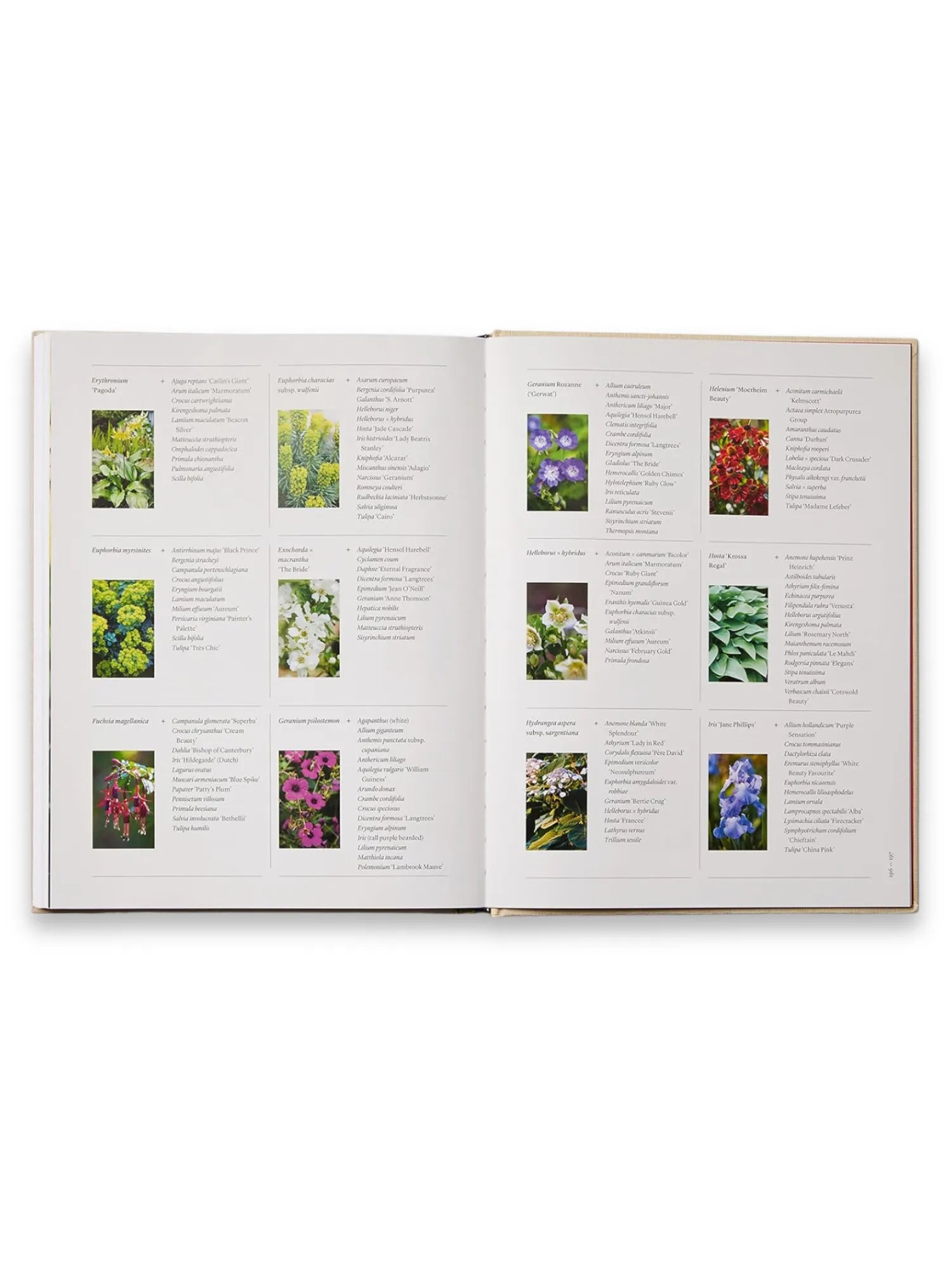 The Seasonal Gardener: Creative Planting Combinations by Book - THAT COOL LIVING