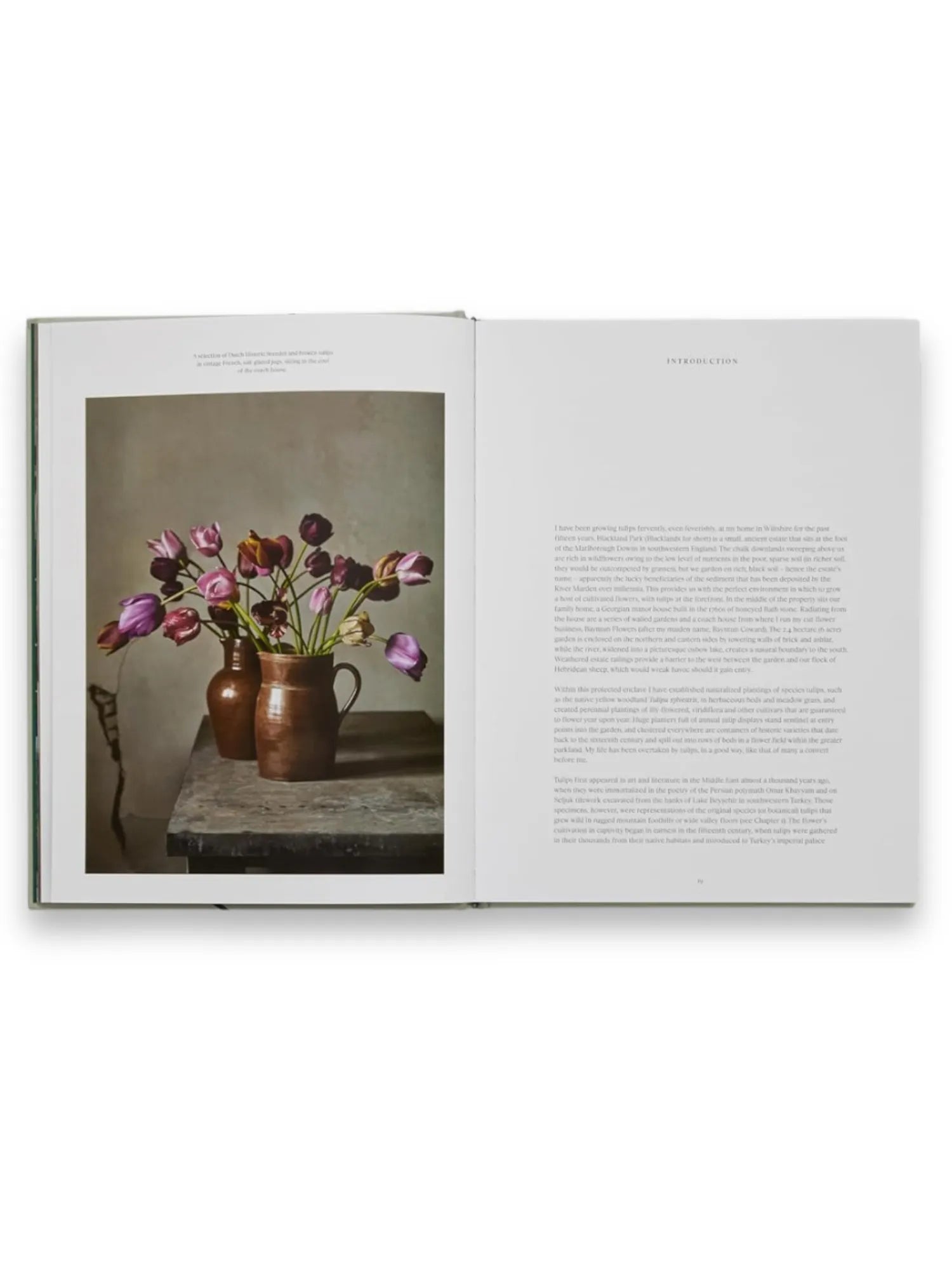 Book The Tulip Garden, open hardcover book displaying a vibrant photographic print of purple, pink, and red tulips in rustic brown ceramic pitchers on a distressed wooden table, alongside an introductory text page. This elegant botanical book is perfect for garden enthusiasts, florists, and home decorators seeking beautiful floral inspiration and educational content.