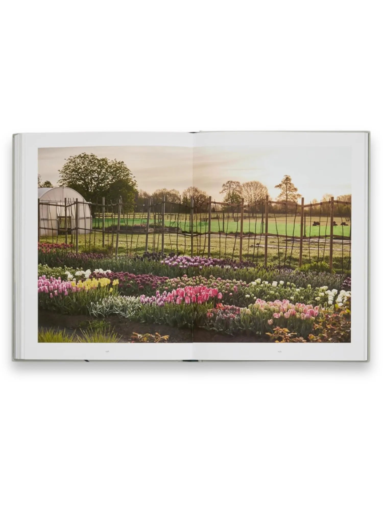The Tulip Garden by Book - THAT COOL LIVING