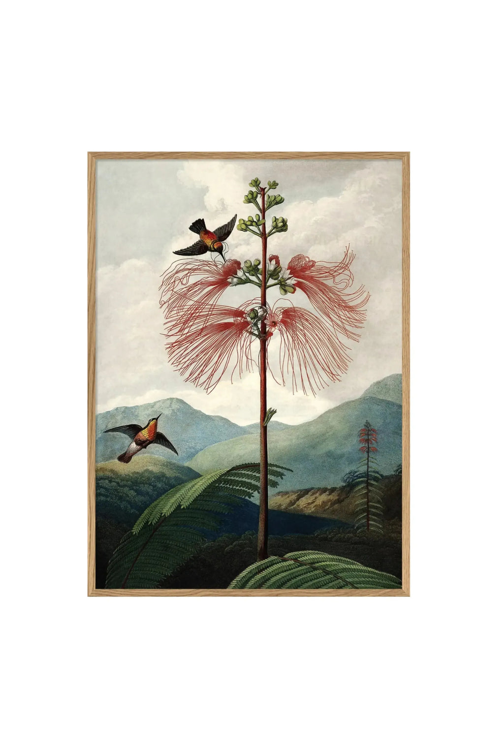 The Tree of Flowers - Art Print