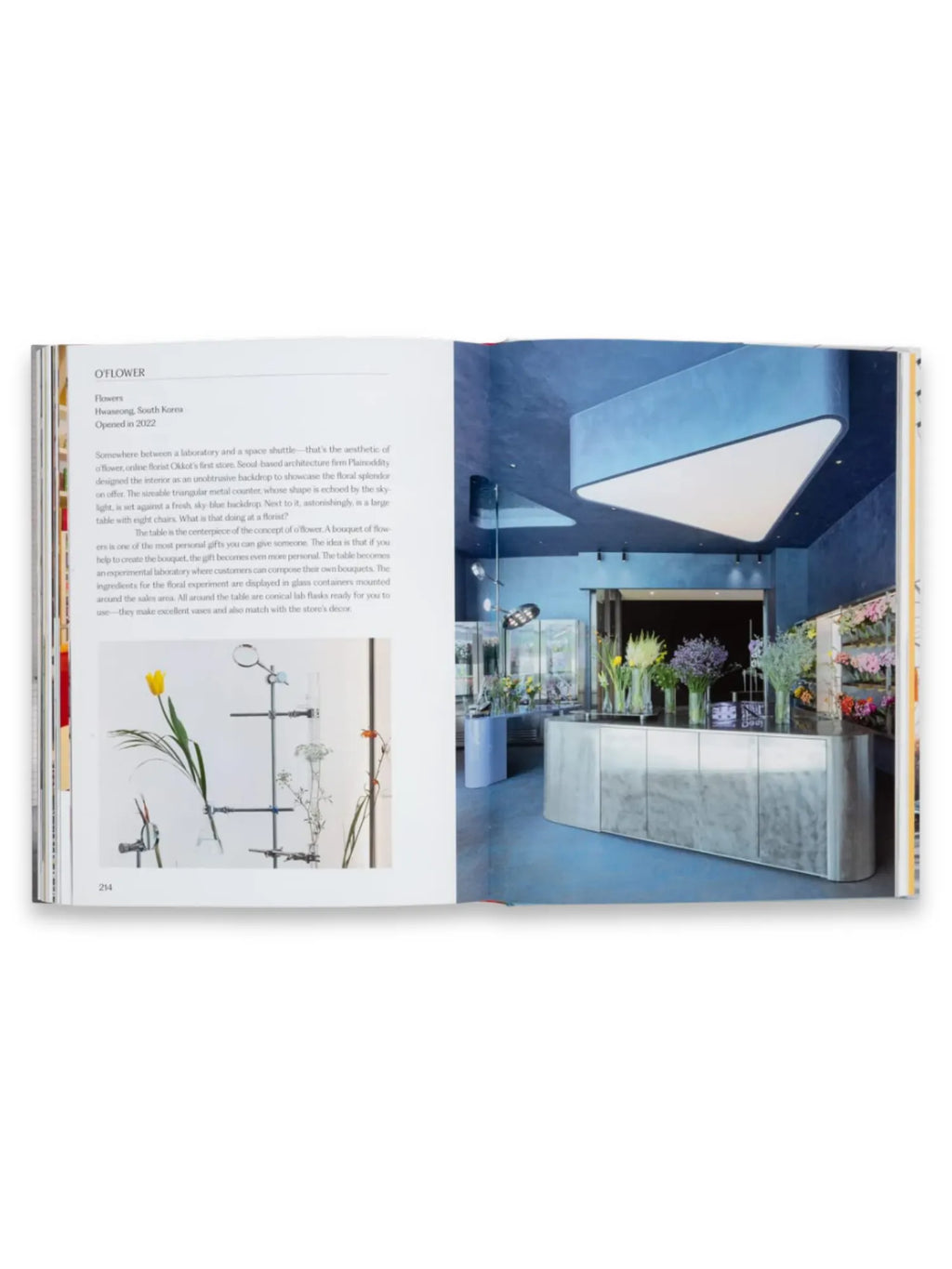 Book Think Big Shop Small, an open hardcover book displaying a vibrant interior design image of a modern florist shop with blue walls, a sleek gray counter, and various fresh flowers in clear vases. This visually rich design book is perfect for interior design enthusiasts, architects, and business owners seeking inspiration for unique retail spaces.