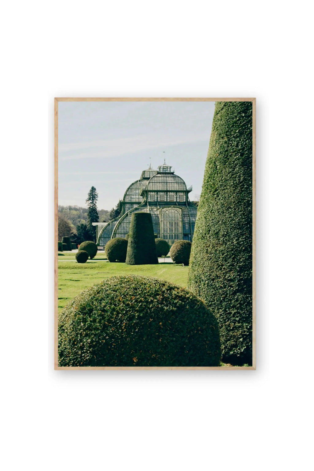 The Poster Club Topiary - Art Print, showcasing a vibrant green formal garden with neatly trimmed topiary bushes in various shapes, leading to a grand glass greenhouse under a clear sky, framed in a light wood border. This scenic landscape poster is ideal for nature lovers seeking elegant wall art to enhance their home decor.