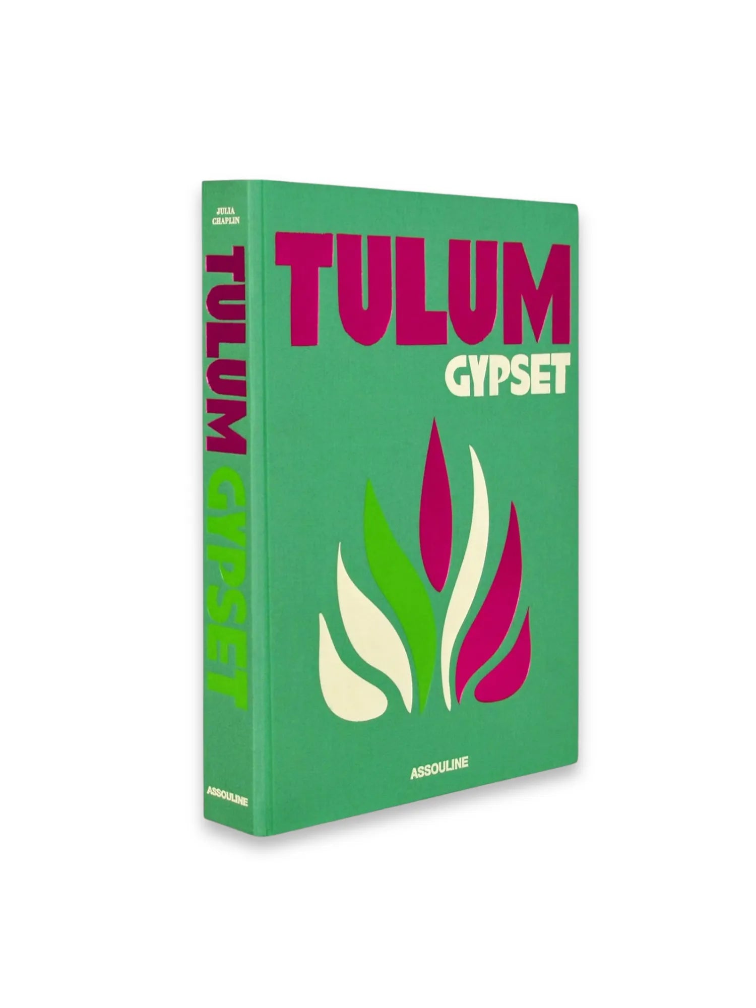 Tulum Gypset by Book - THAT COOL LIVING