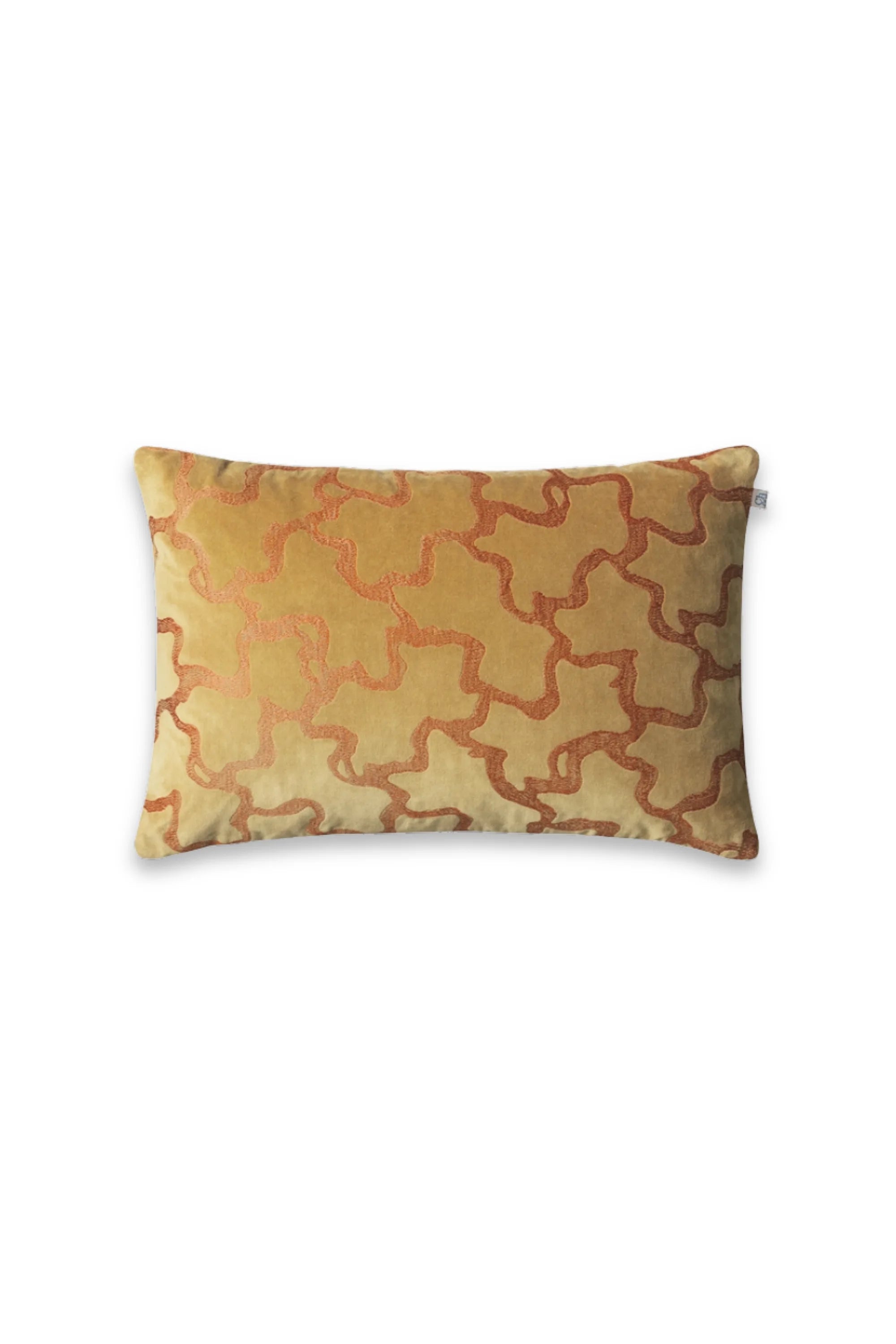 Chand Velvet Throw Pillow