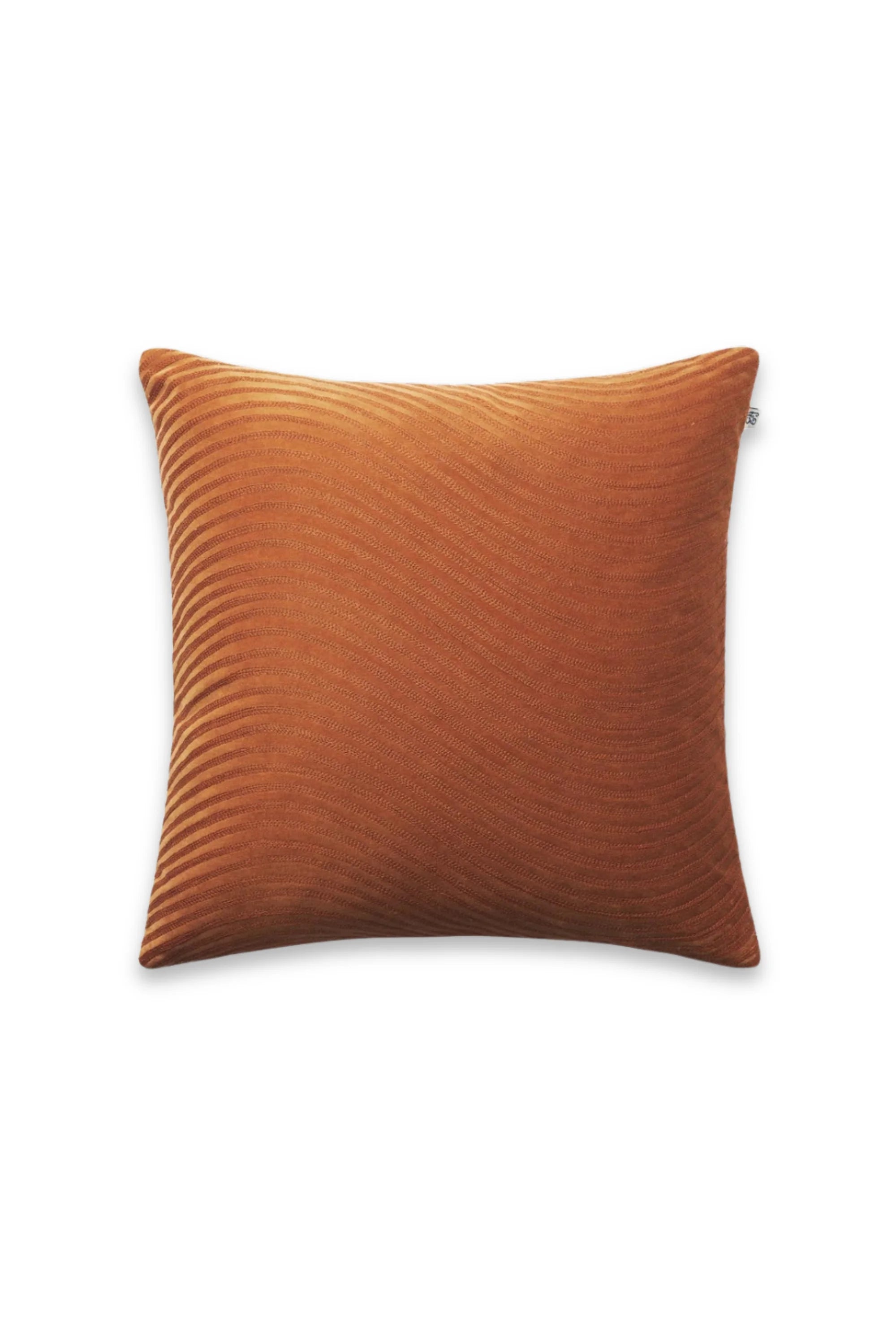 Kunal Velvet Throw Pillow