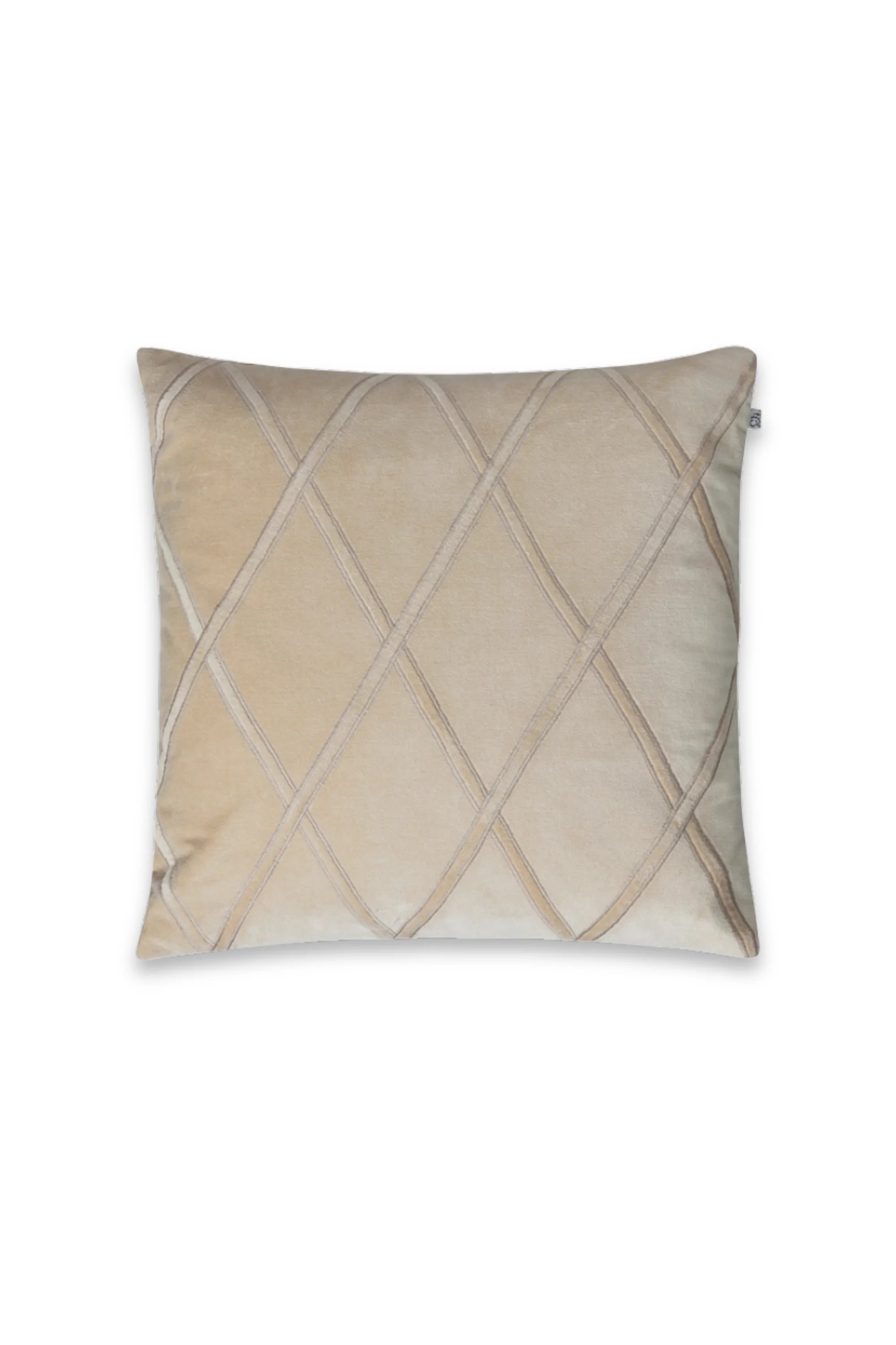 Orissa Velvet Throw Pillow