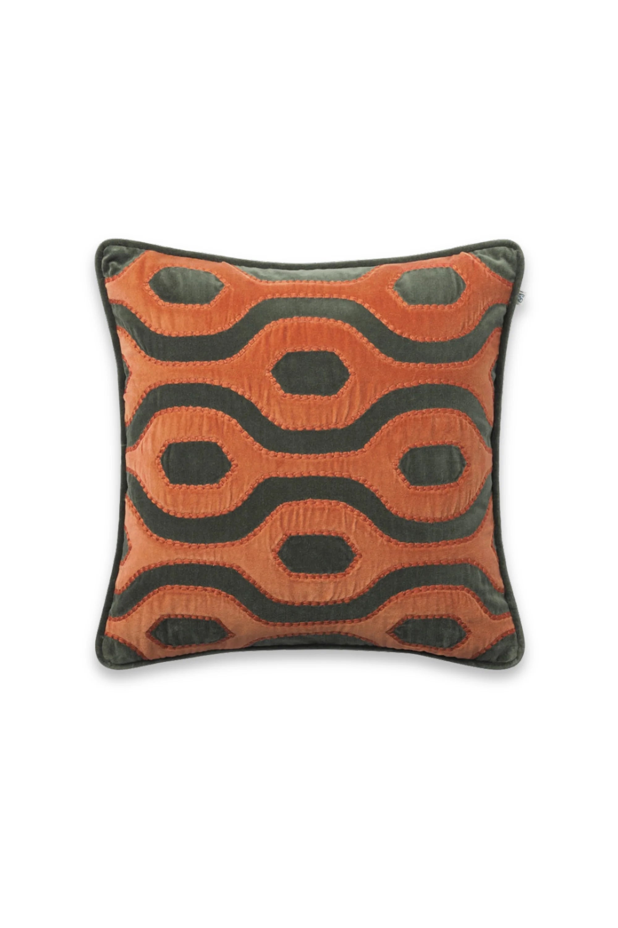 Varanasi Velvet Throw Pillow
