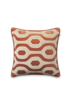 Varanasi Velvet Throw Pillow