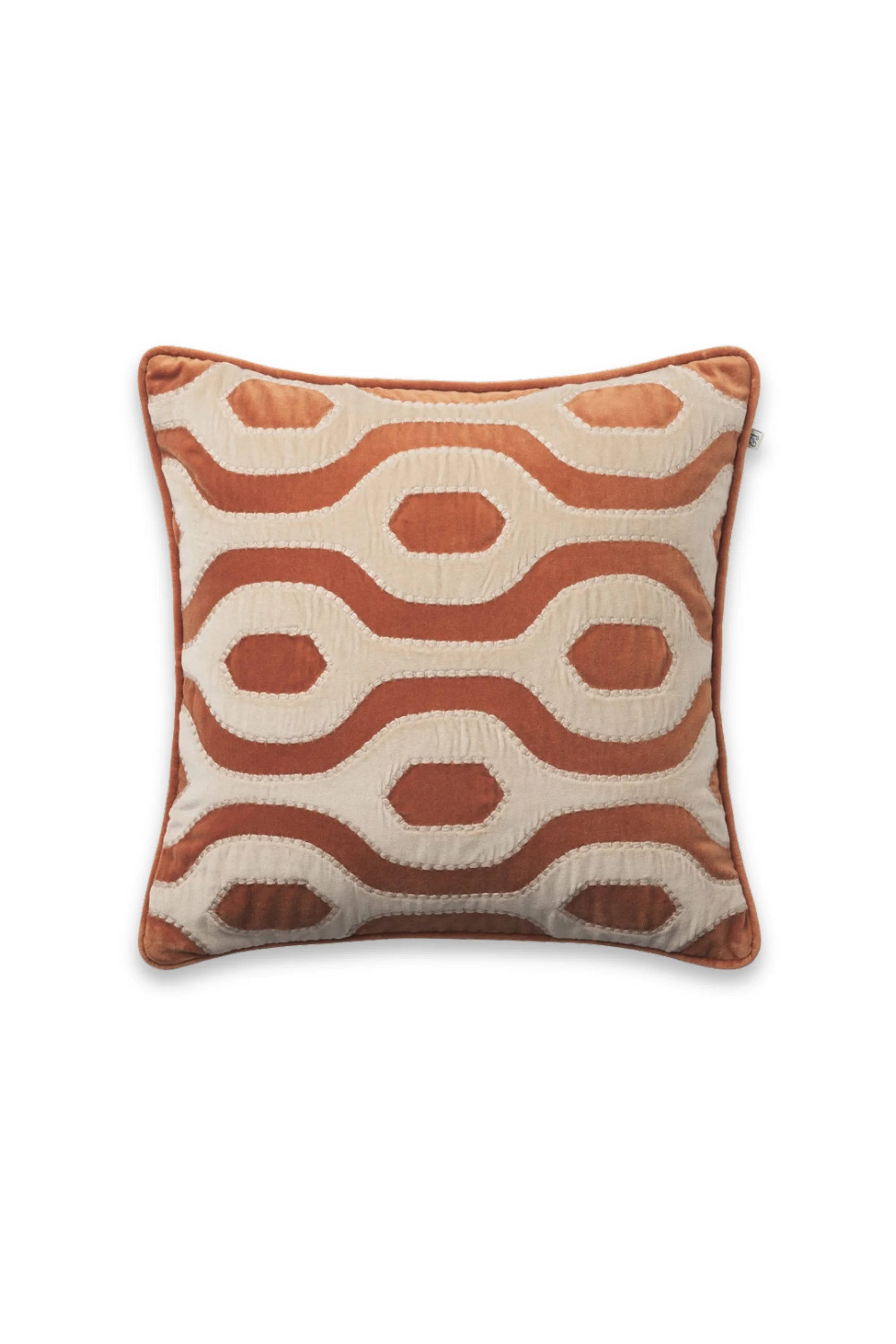 Varanasi Velvet Throw Pillow