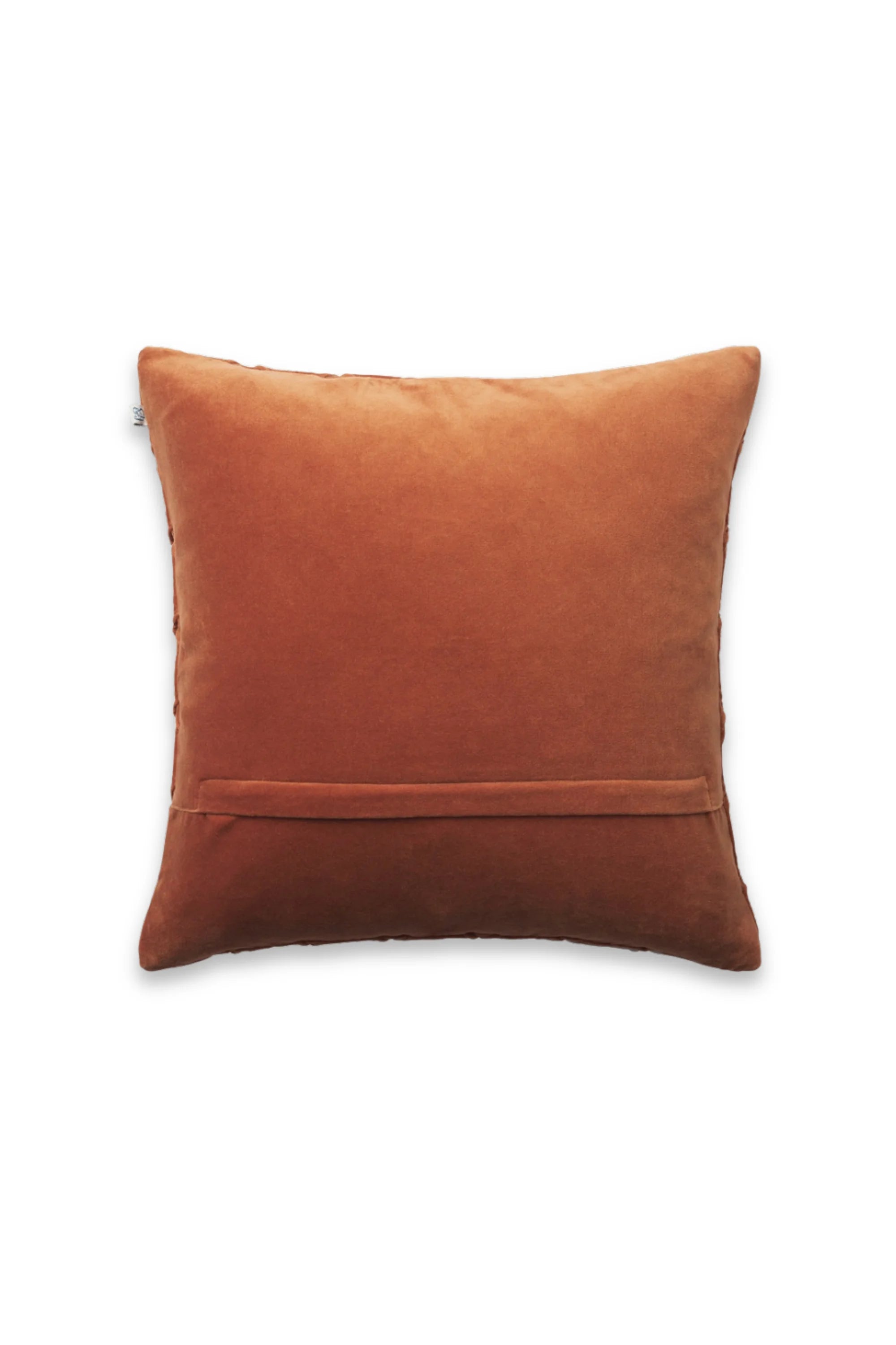 Varanasi Velvet Throw Pillow