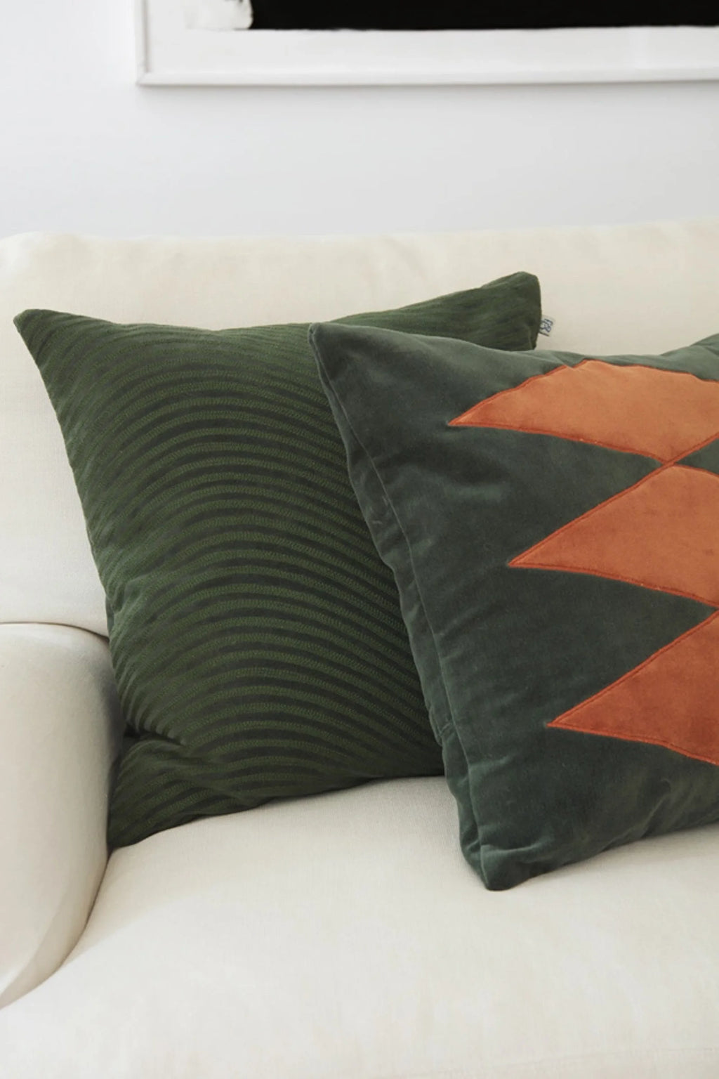 Kunal Velvet Throw Pillow