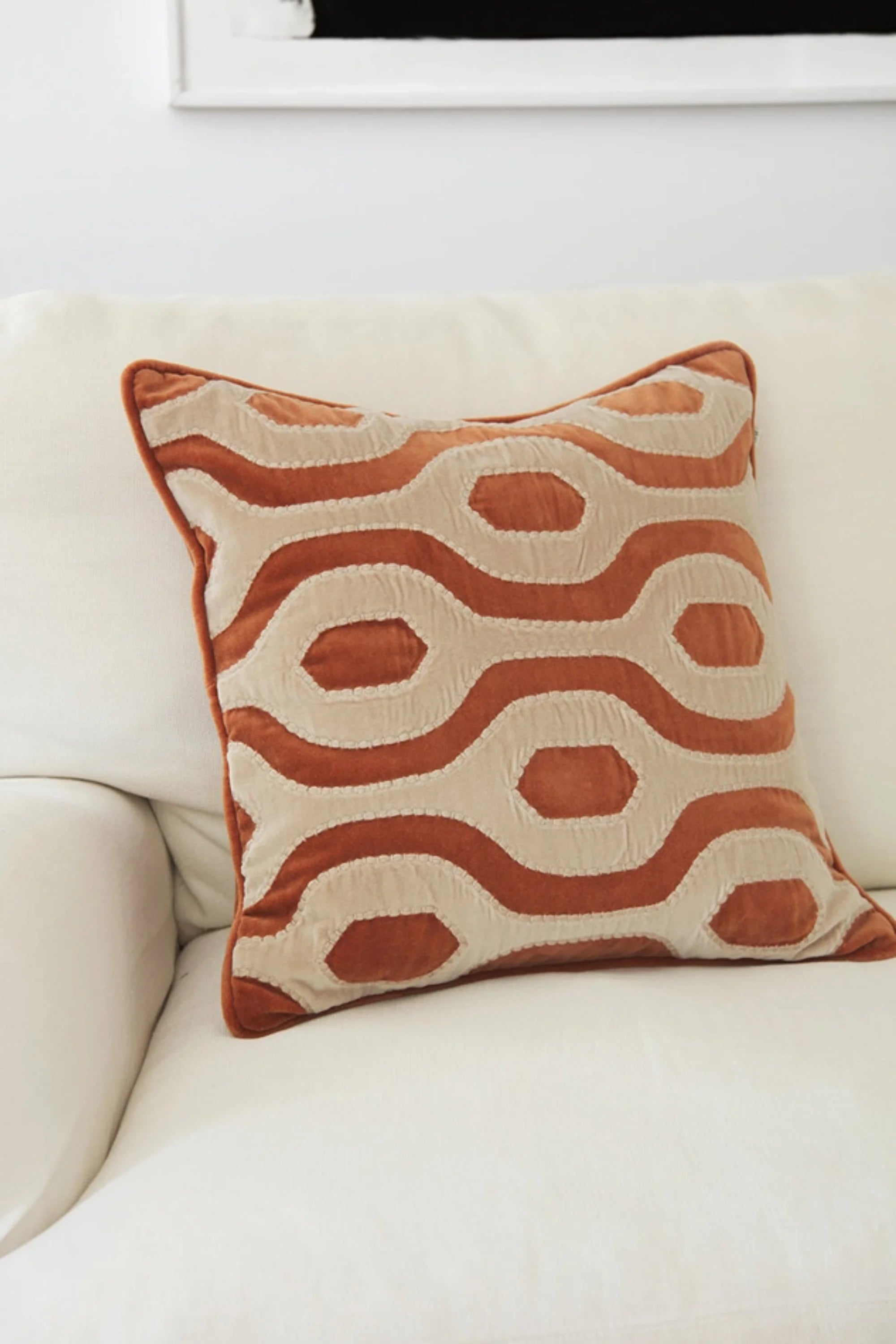 Varanasi Velvet Throw Pillow
