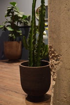 Terra Planter - THAT COOL LIVING