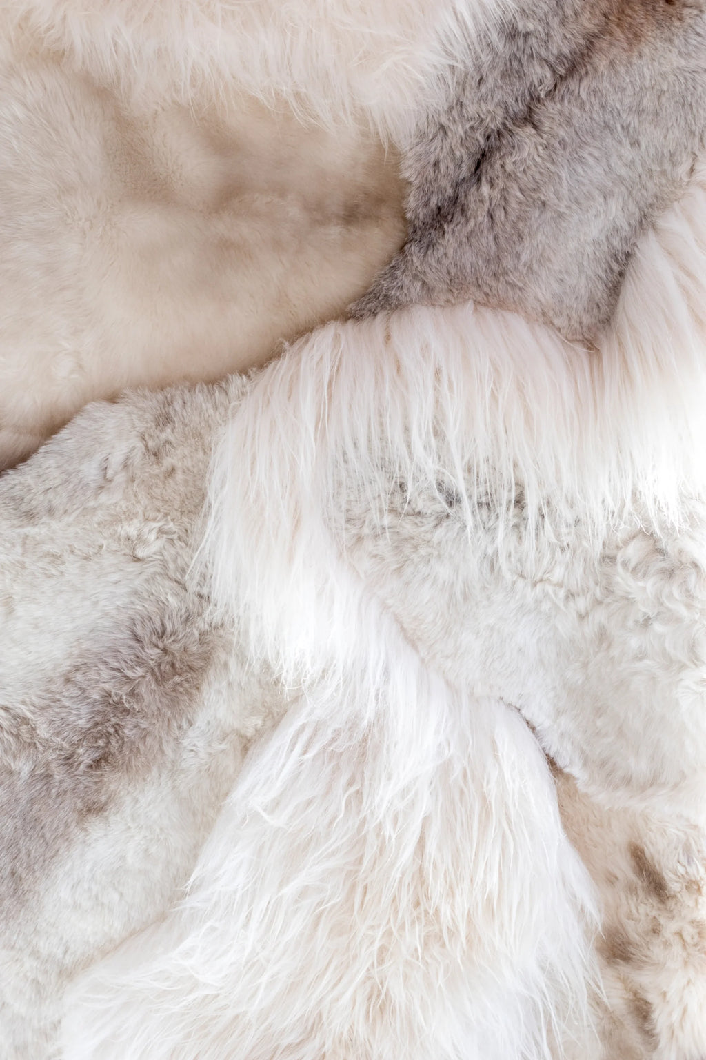 Close-up of fur with a mix of white and brown shades