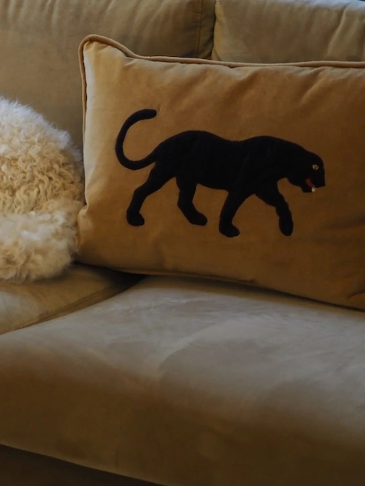 Black Panther Velvet Throw Pillow