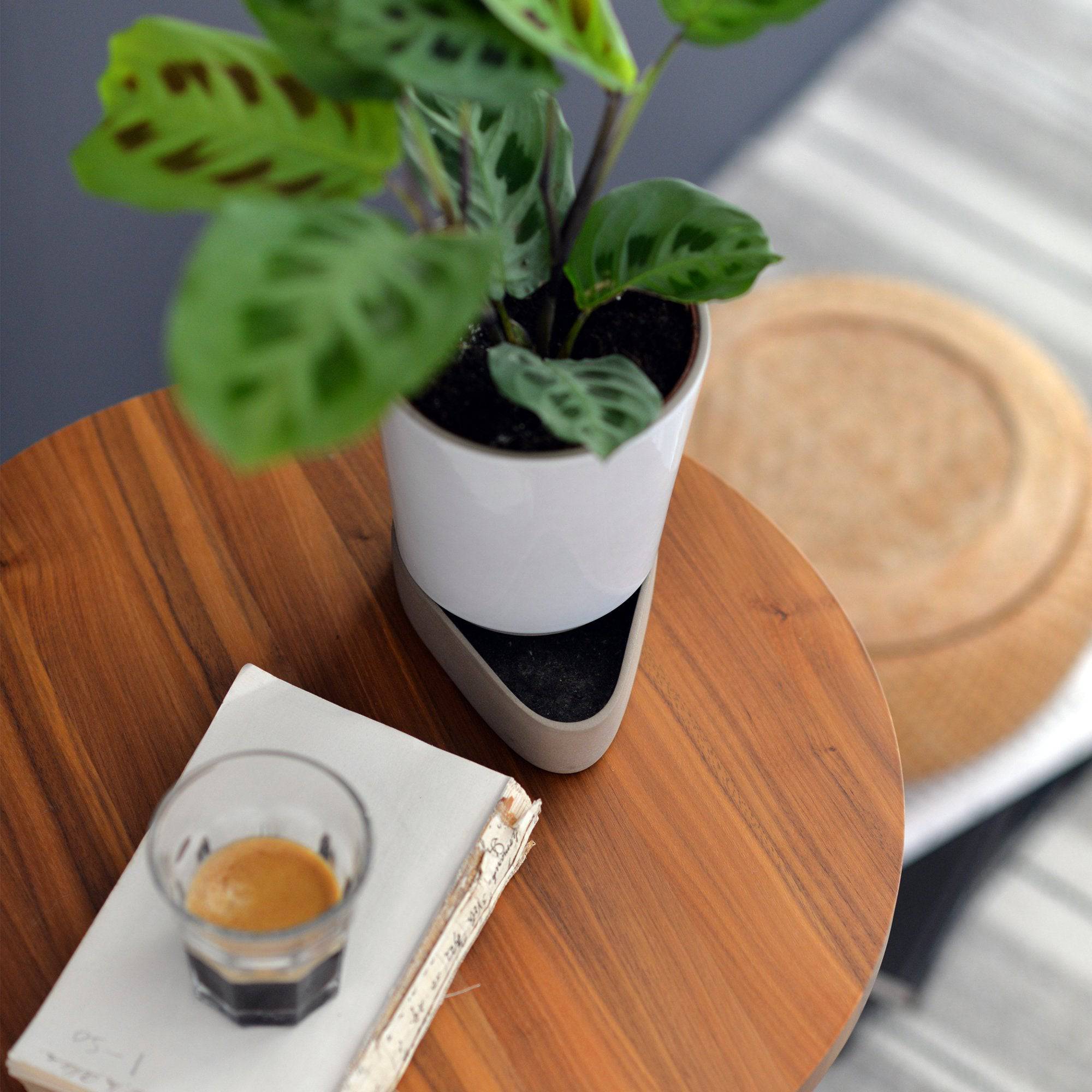 Sip Plant Pot | White - THAT COOL LIVING