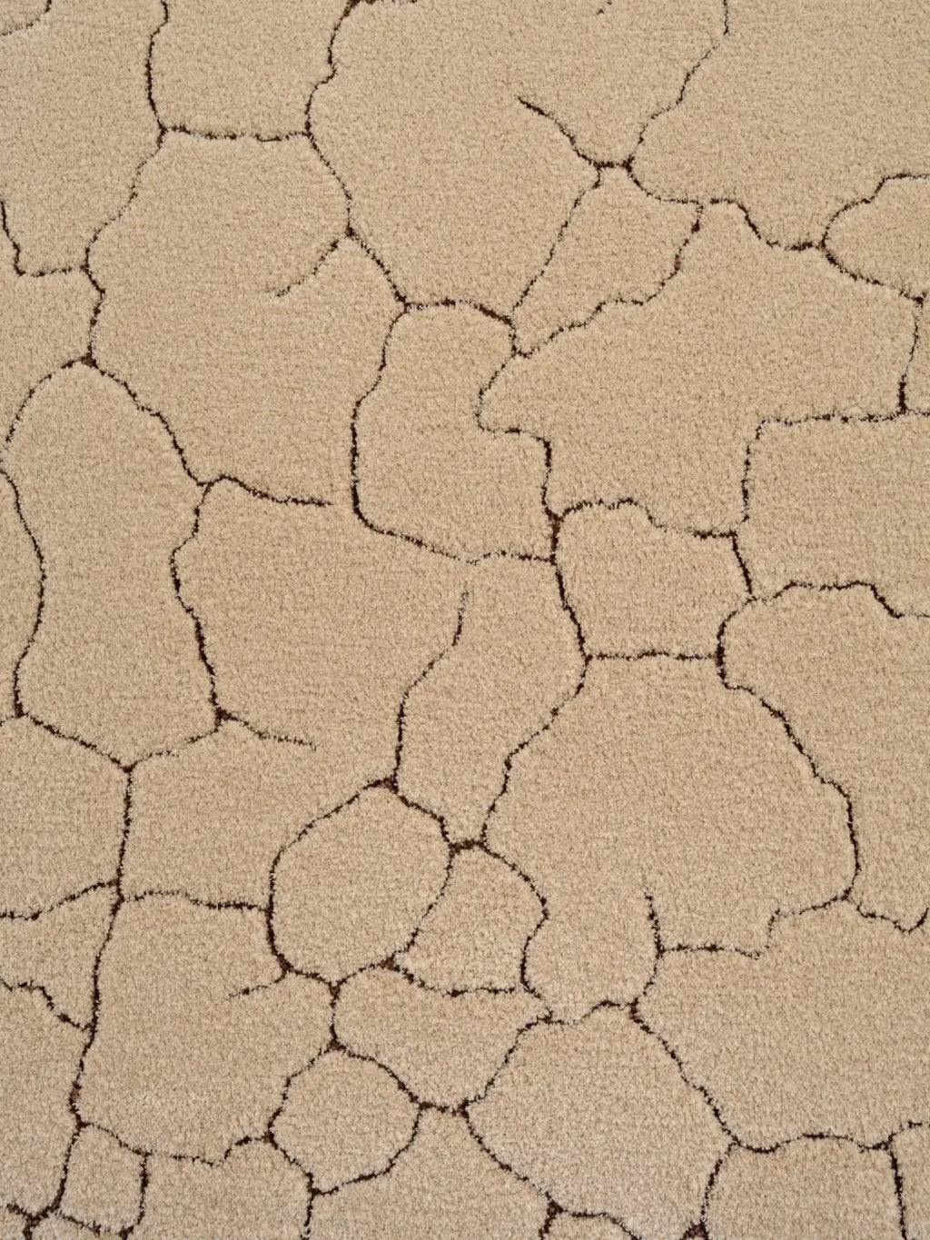 alp_ Clay Rug, a textured soft pile area rug featuring an organic abstract cracked earth pattern in warm beige and deep brown tones. This plush floor covering offers a unique natural aesthetic with its irregular, raised pile shapes. Perfect for adding rustic modern style to living rooms, bedrooms, or cozy reading nooks.