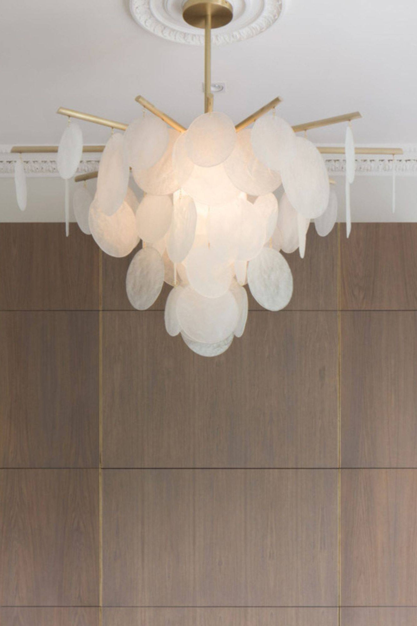 Nimbus Pendant Chandelier - THAT COOL LIVING