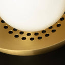 Carapace Ceiling Lamp - THAT COOL LIVING