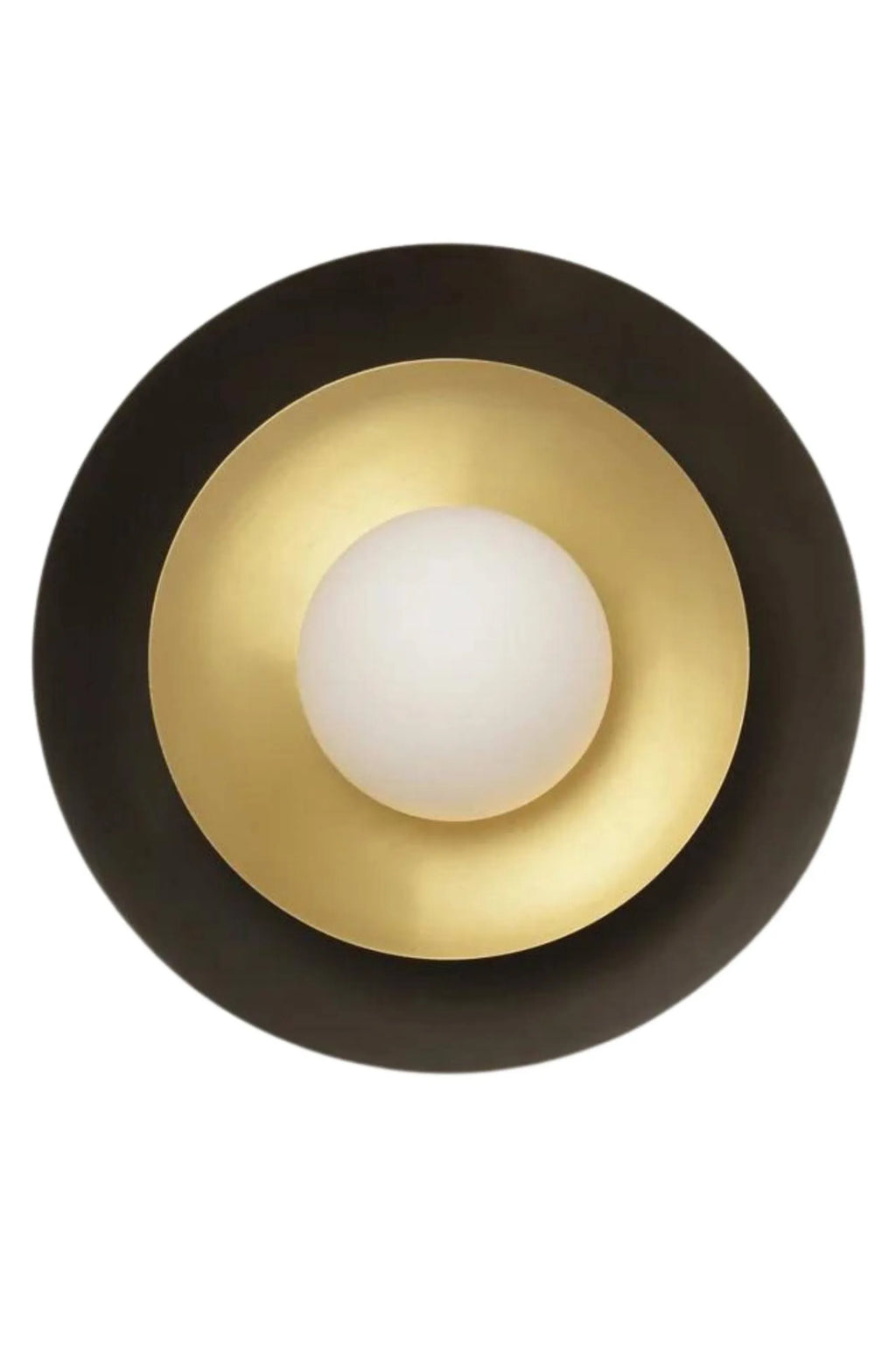 Carapace Wall Lamp - THAT COOL LIVING