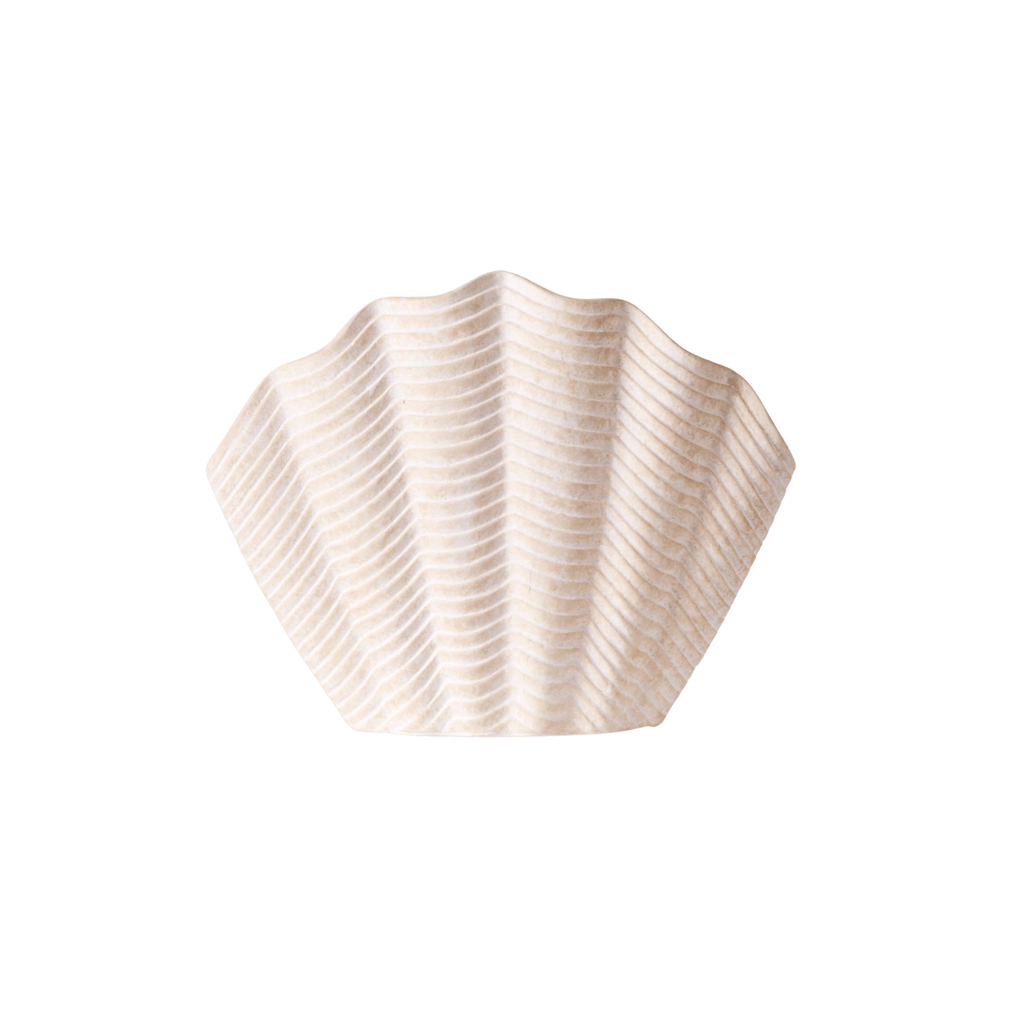 Concha Vase White Medium