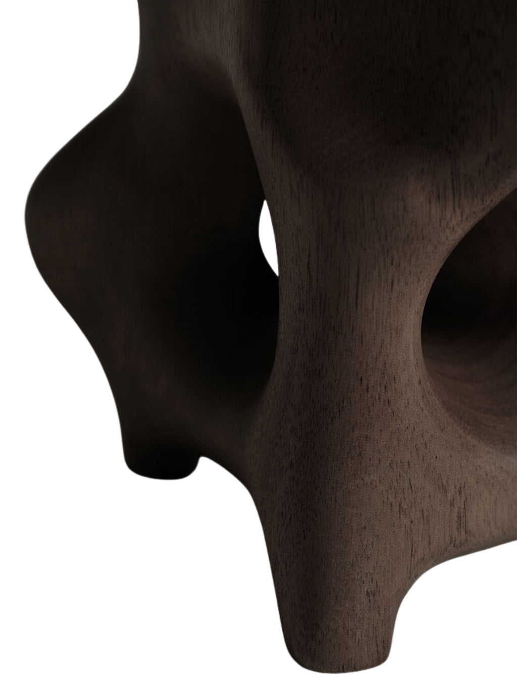Ethnicraft Natural Organic Sculpture in rich mahogany dark brown, showcasing its smooth, curved, abstract form and intricate wood grain texture, displayed on a clean white background.