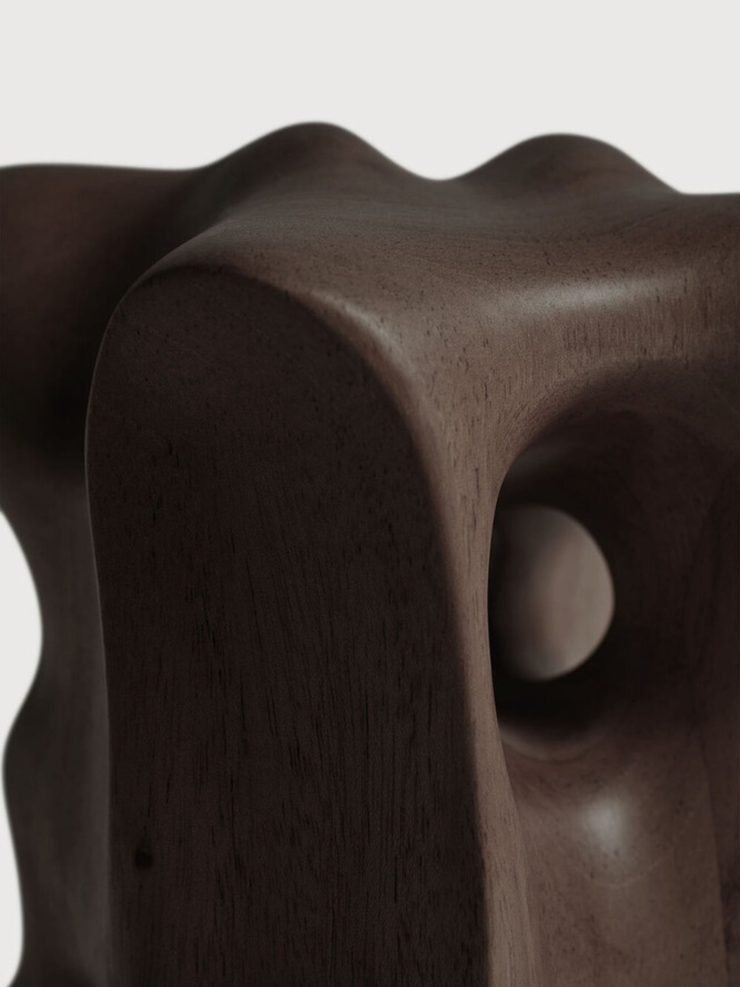Ethnicraft Natural Organic Sculpture, a close-up detail of the dark brown mahogany wood, revealing its rich grain and smooth, undulating curves with a deep, intriguing hollow, showcasing its natural texture.