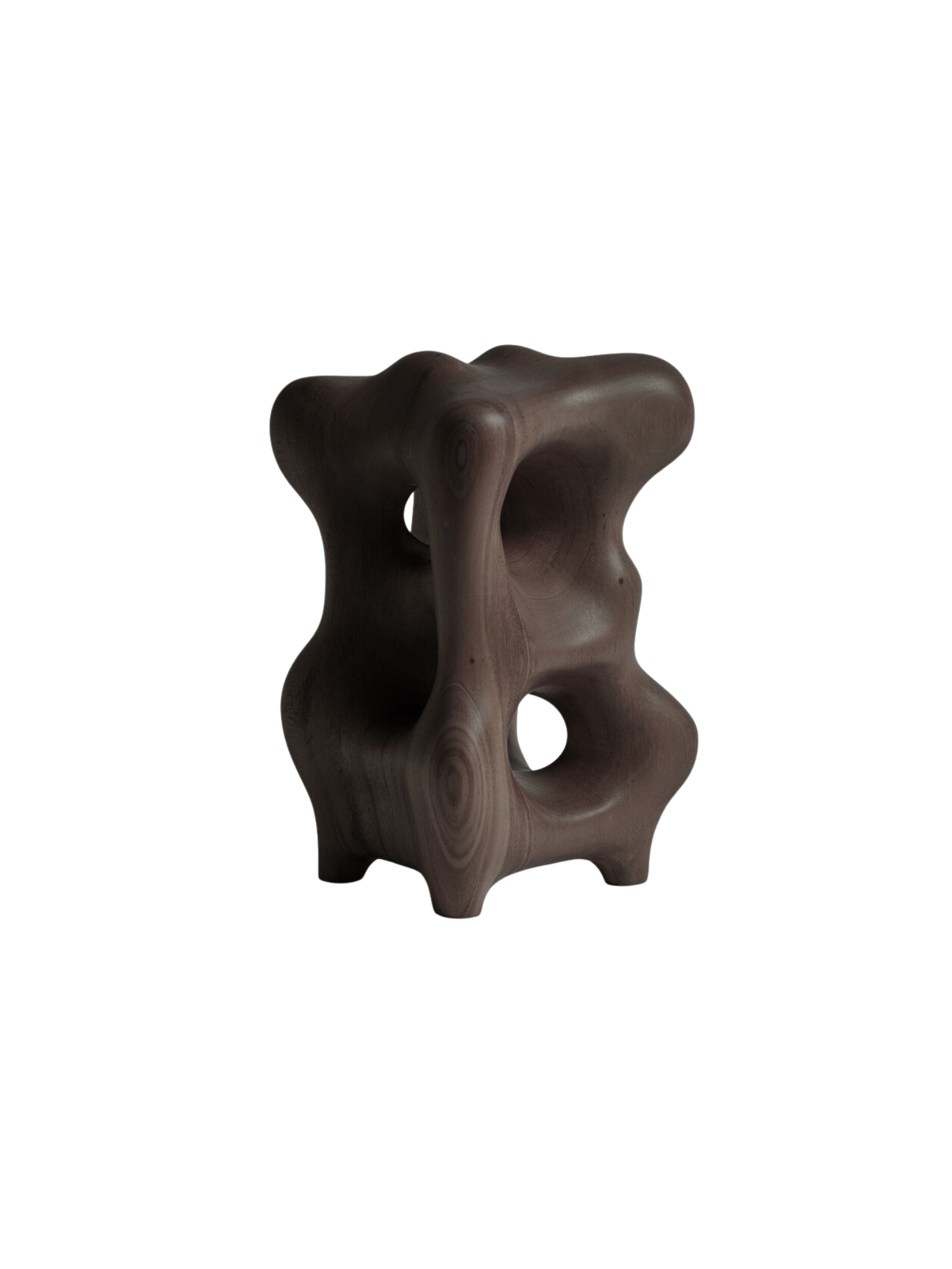 Ethnicraft Natural Organic Sculpture, a dark brown mahogany piece with a unique, abstract, and organic shape, featuring smooth curves and hollowed sections, presented on a clean white background.