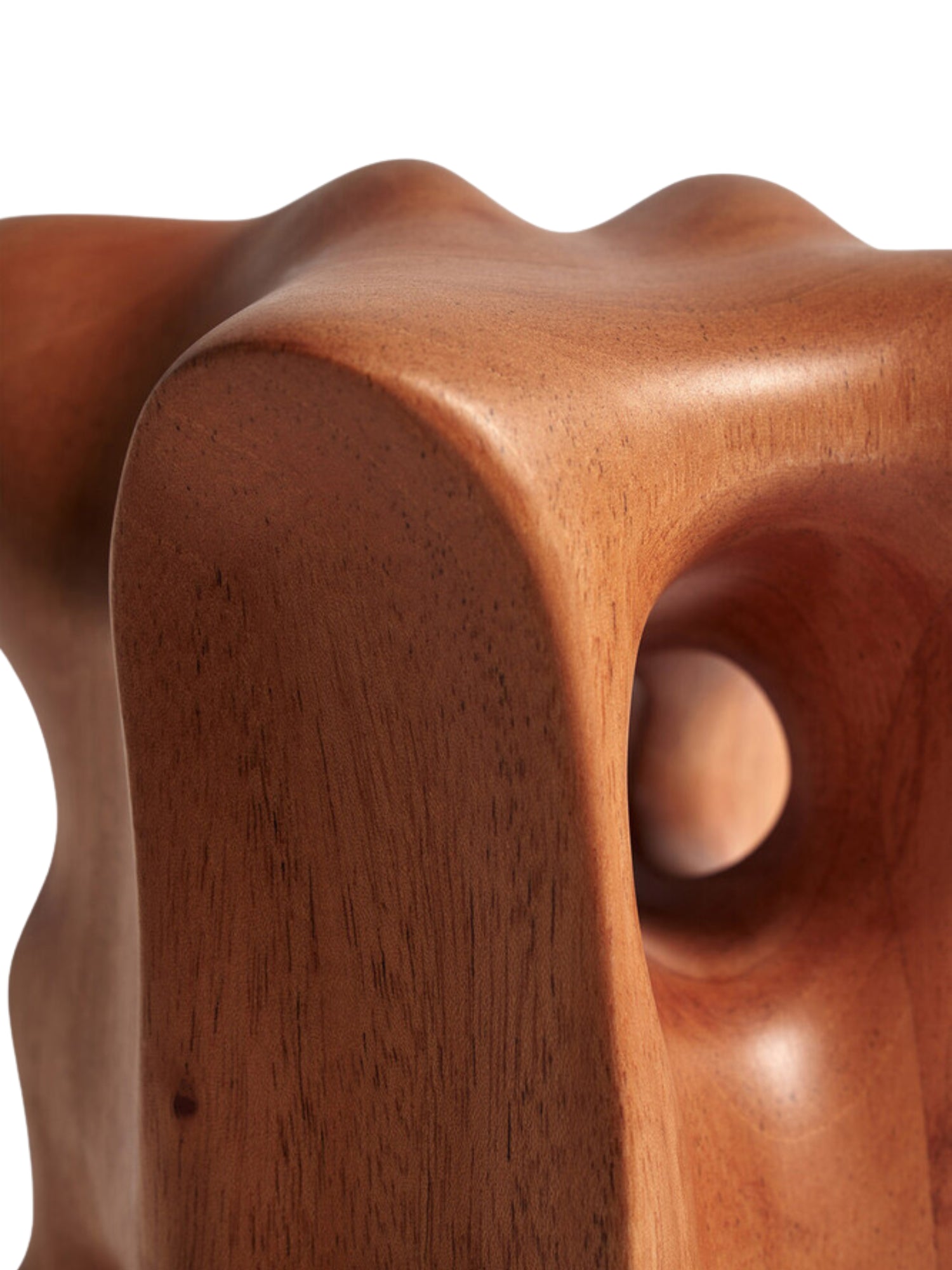 Ethnicraft Natural Organic Sculpture, a close-up detail of the mahogany wood piece, highlighting its deep dark brown color, intricate wood grain, and the smooth, sculpted curves of its modern design.